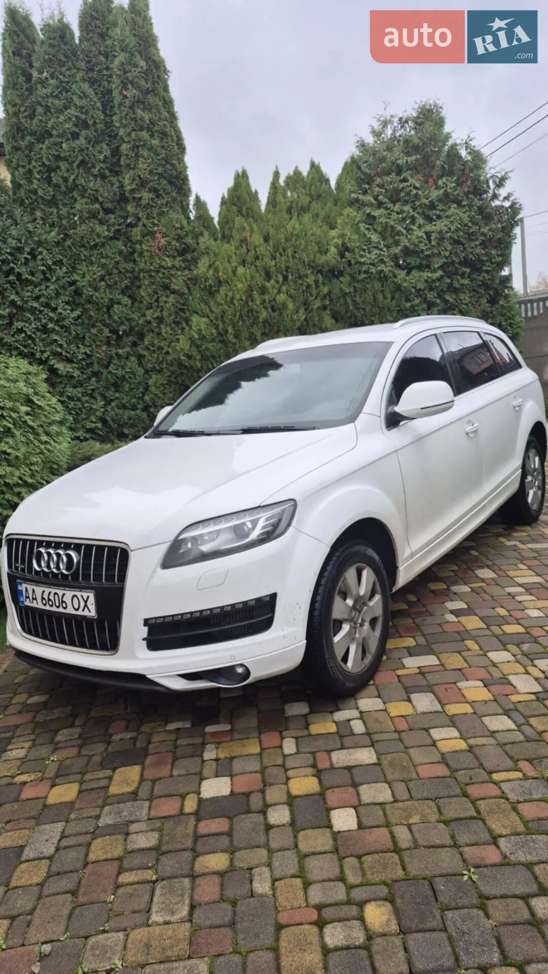 Audi Q7, 2010