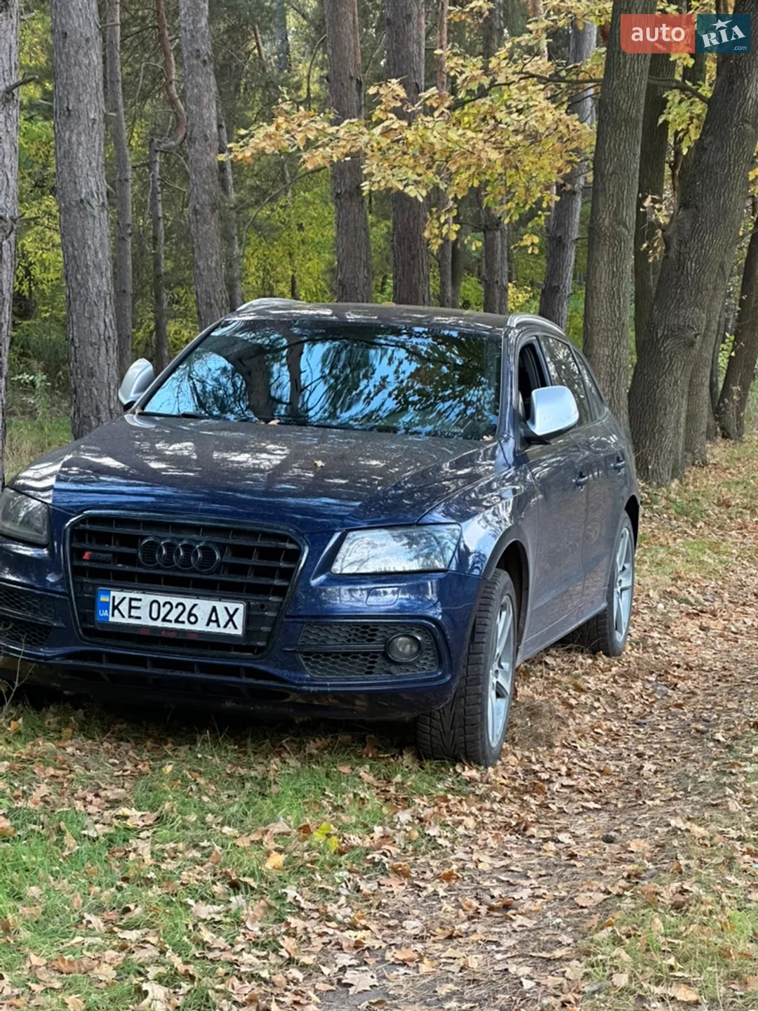 Audi SQ5, 2013