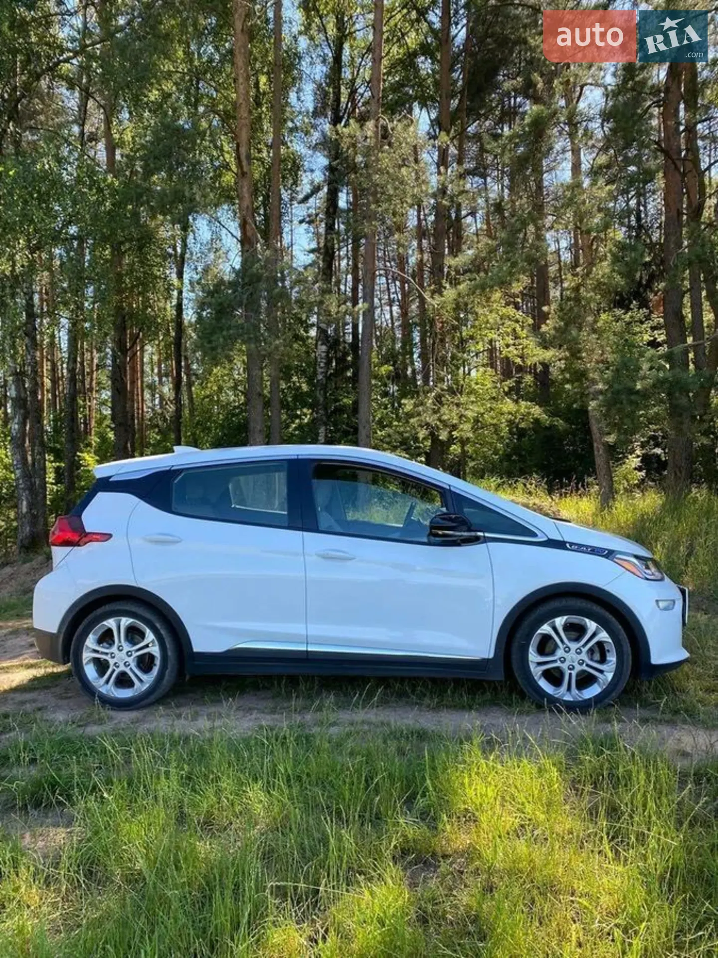 Chevrolet Bolt EV, 2019