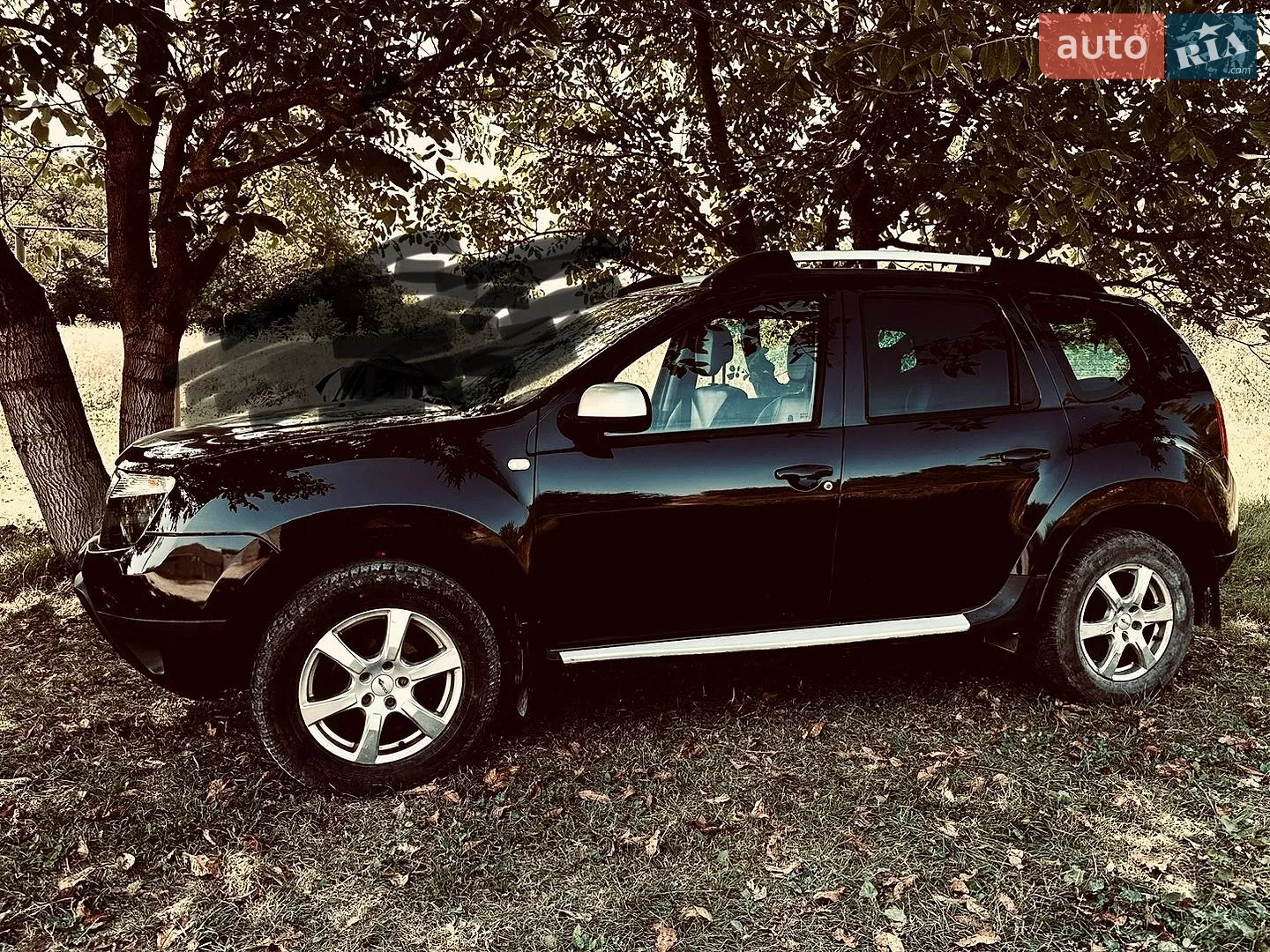 Dacia Duster, 2010