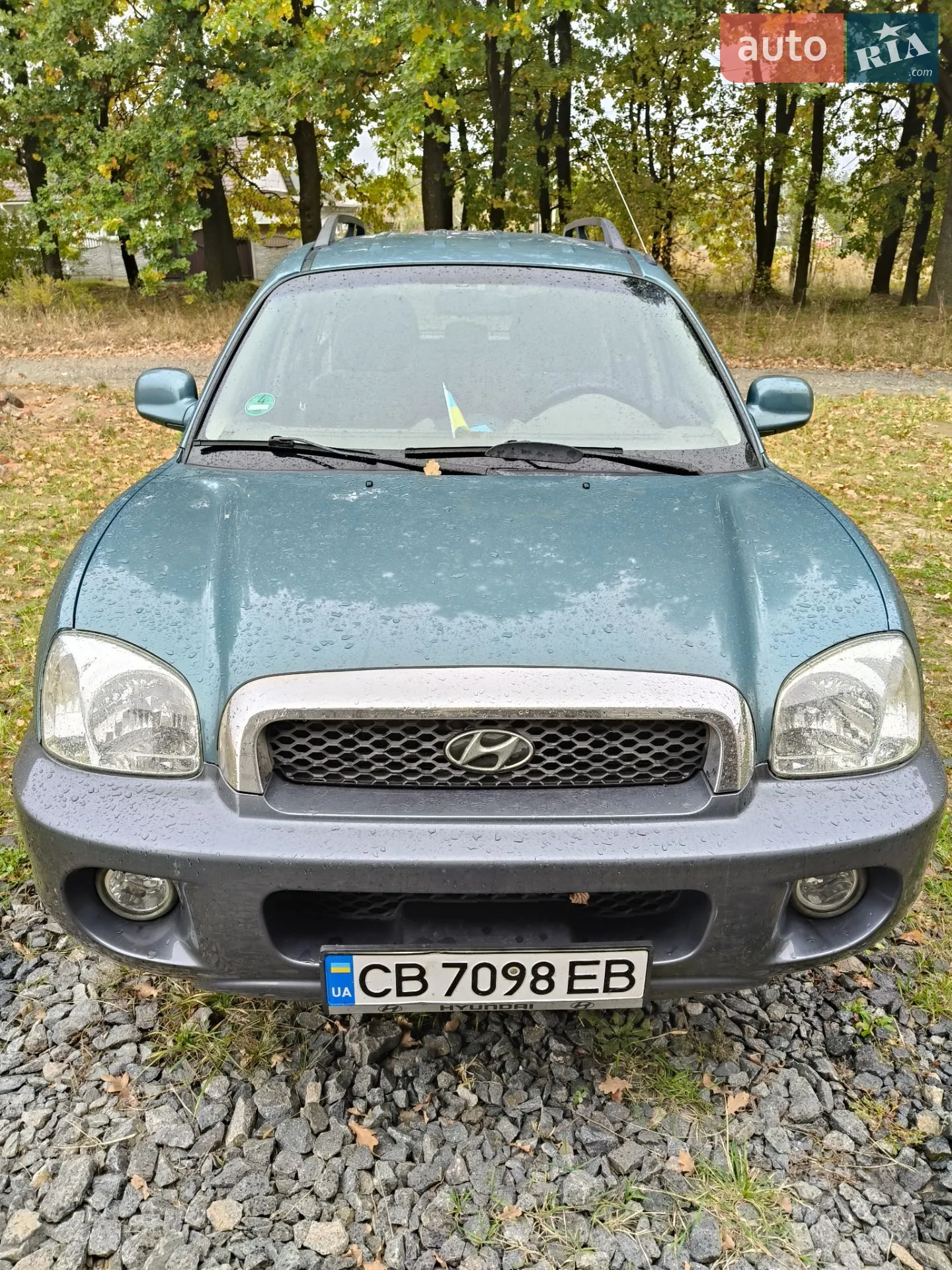 Hyundai Santa FE, 2002