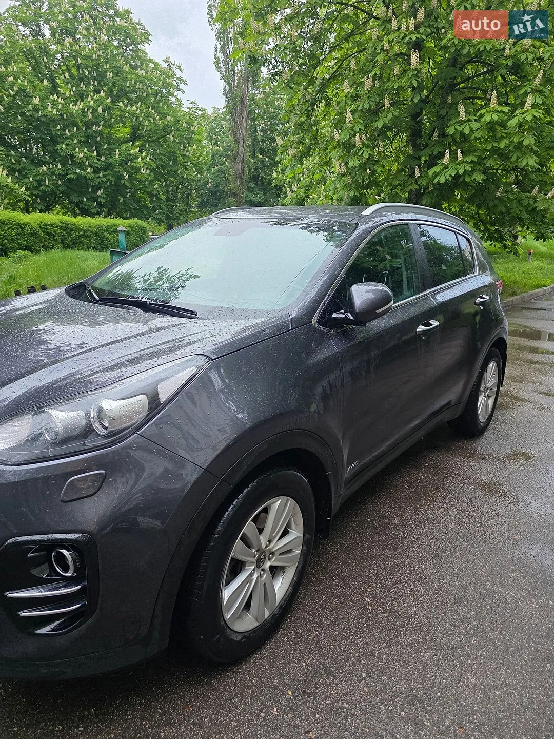 Kia Sportage, 2017