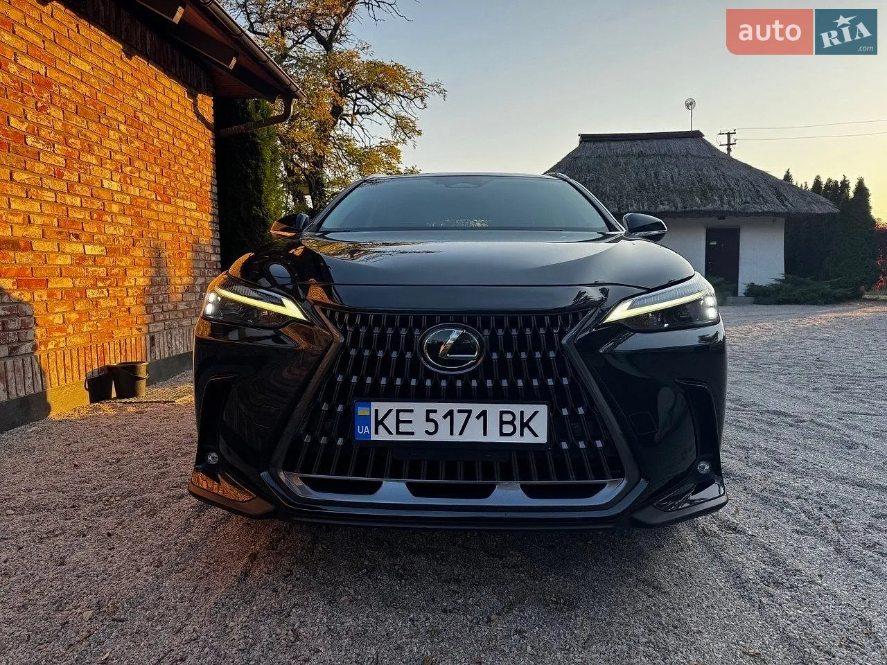 Lexus NX, 2024