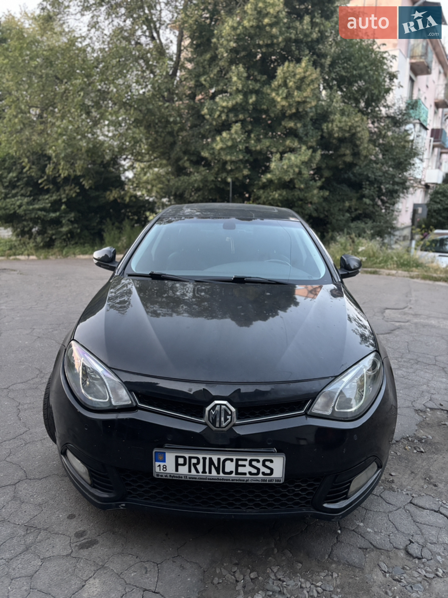 MG 6, 2013