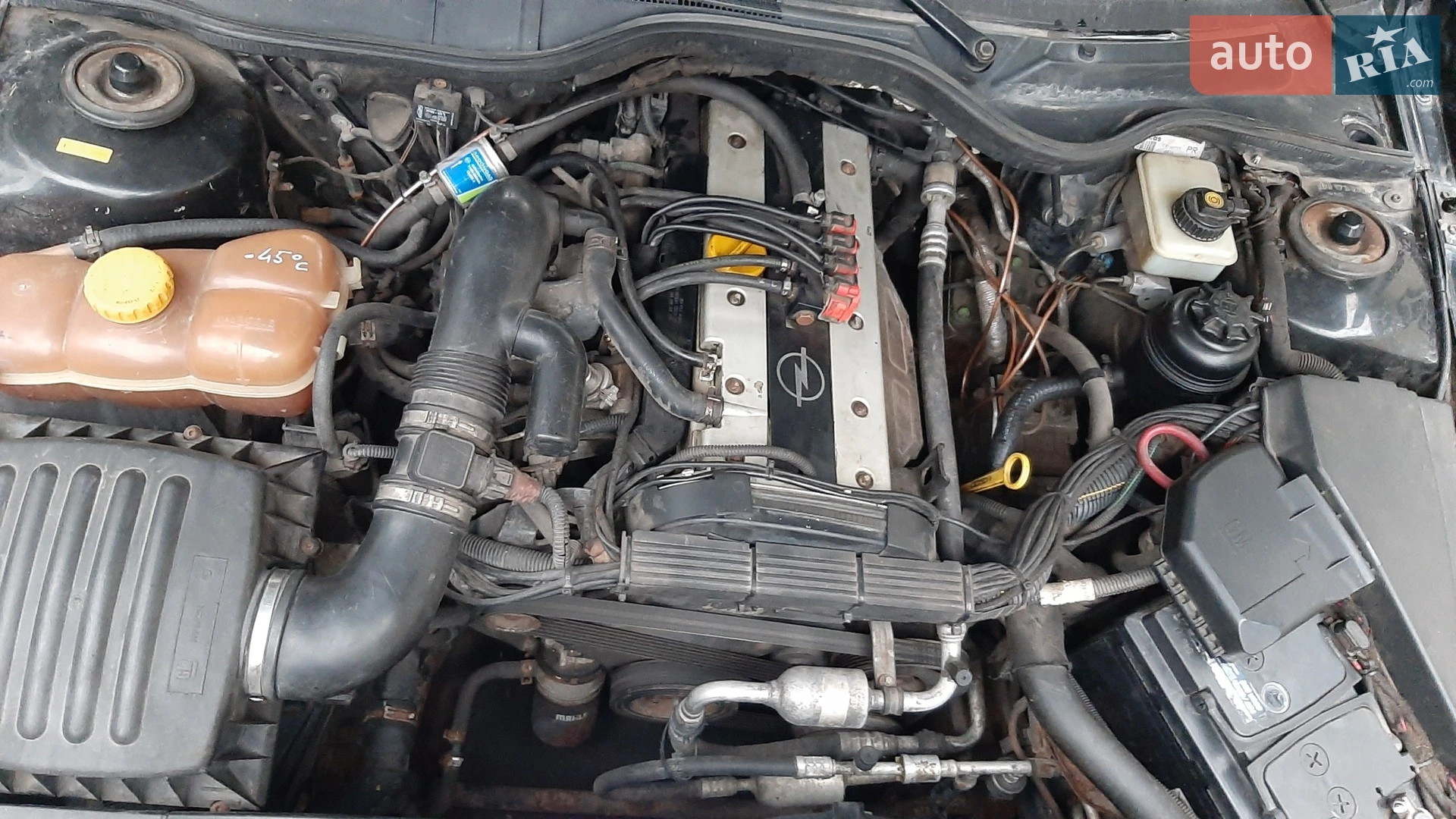 Opel Omega, 2000
