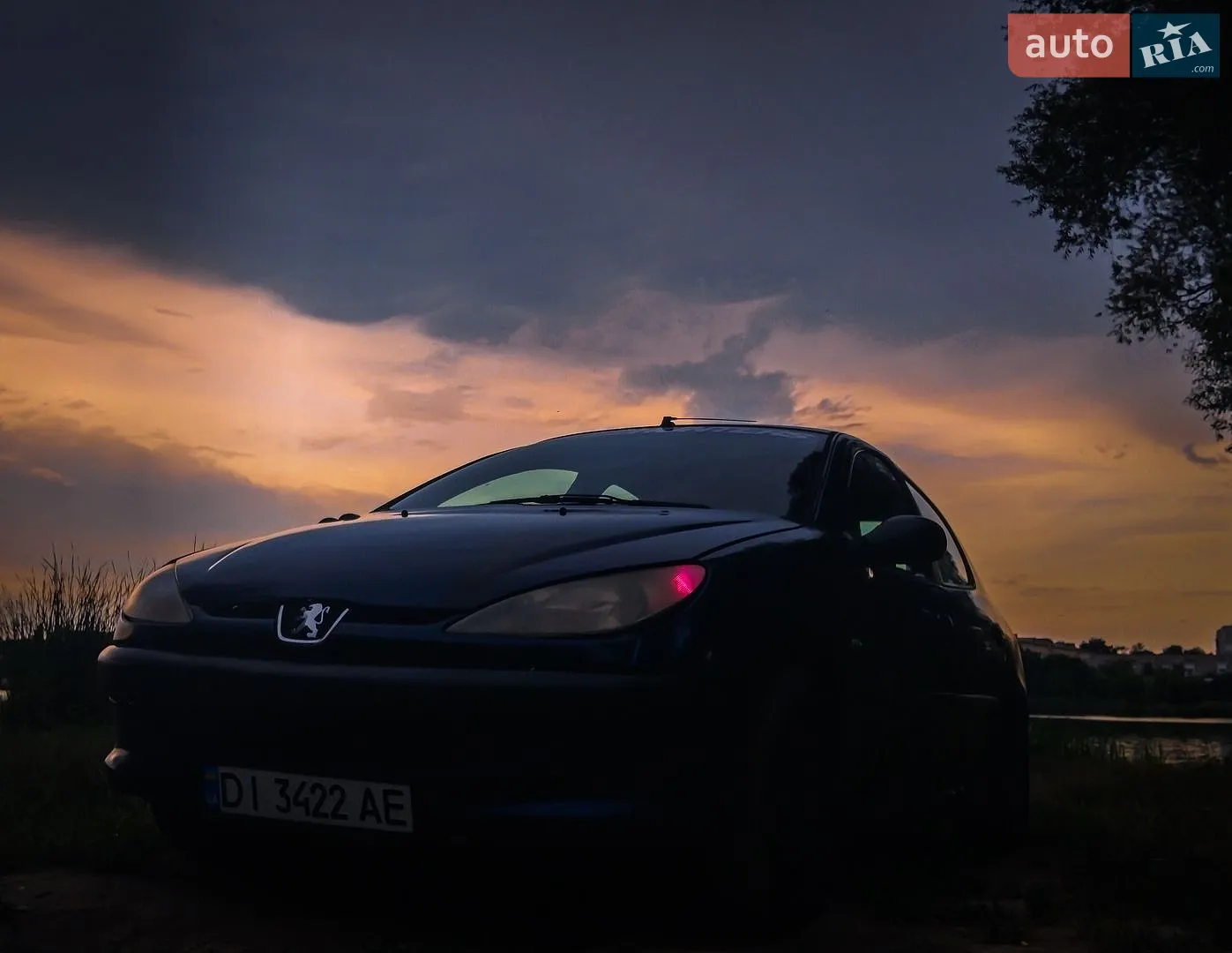 Peugeot 206, 2003