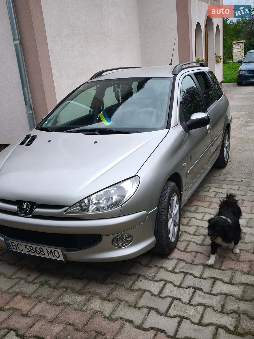 Peugeot 206, 2006