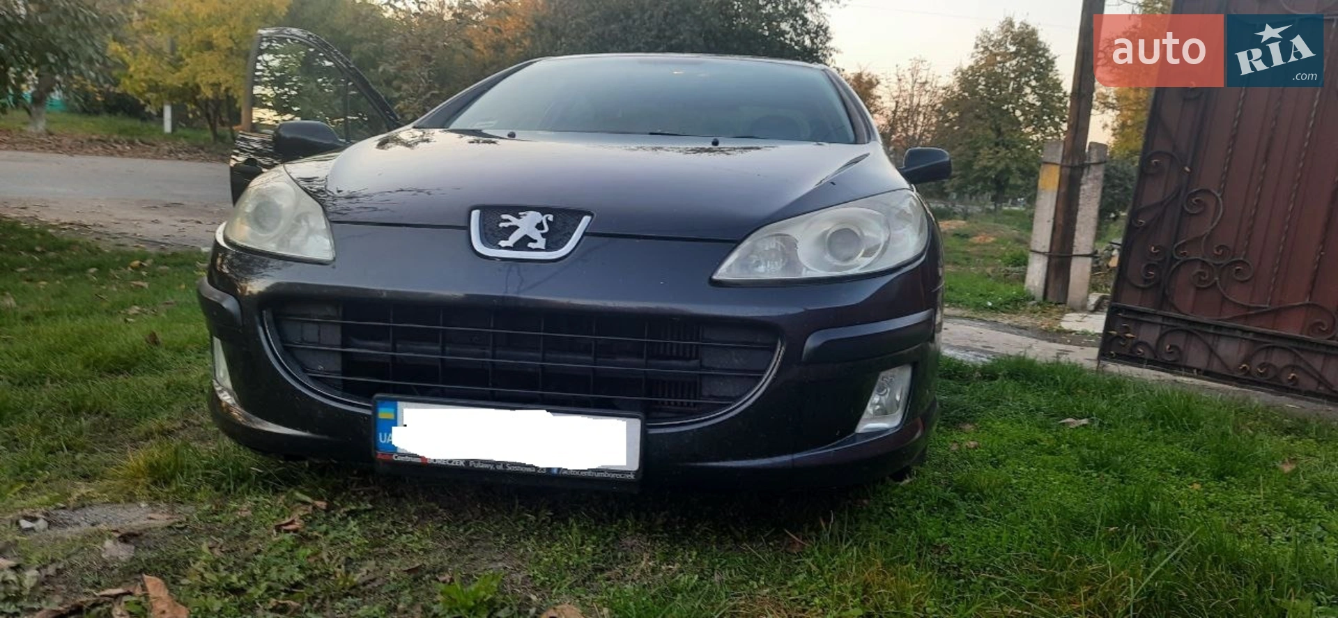 Peugeot 407 2004 — 1