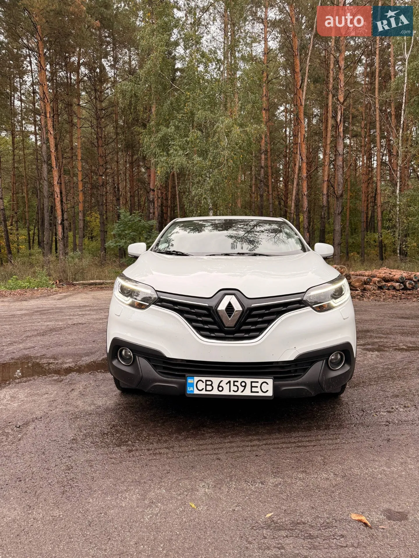 Renault Kadjar, 2017