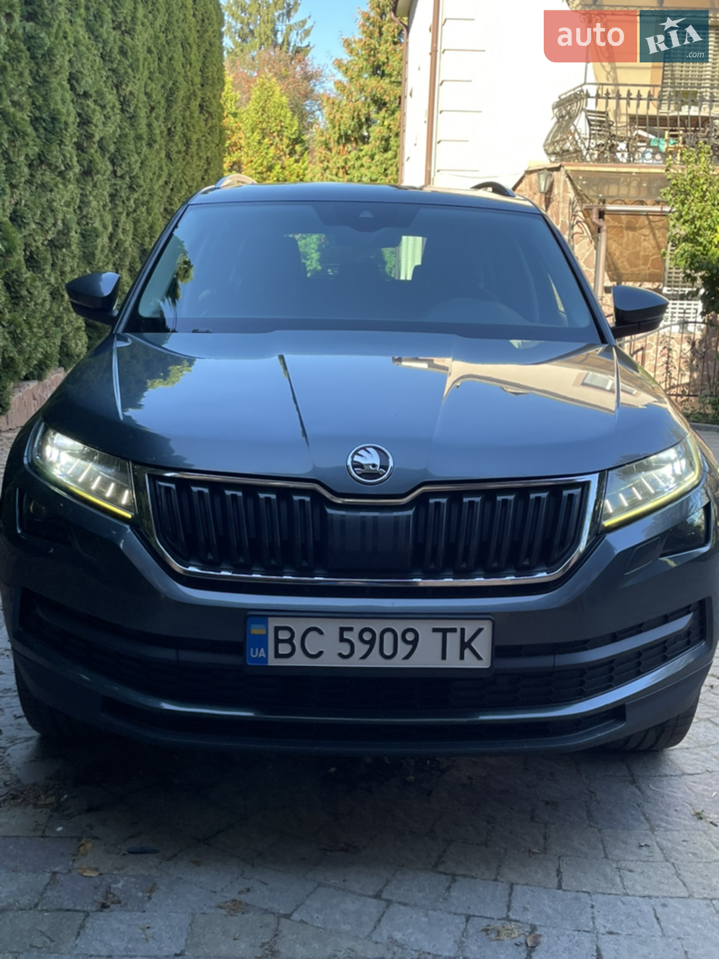 Skoda Kodiaq, 2017