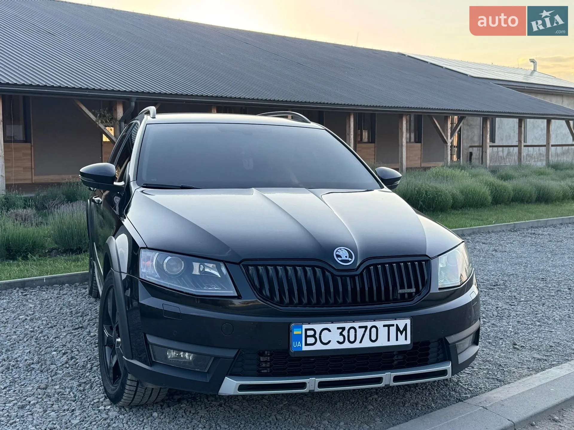 Skoda Octavia Scout, 2014