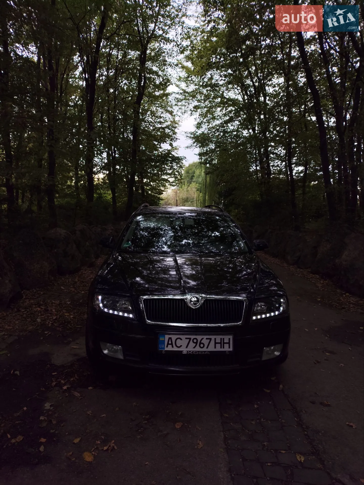 Skoda Octavia, 2008