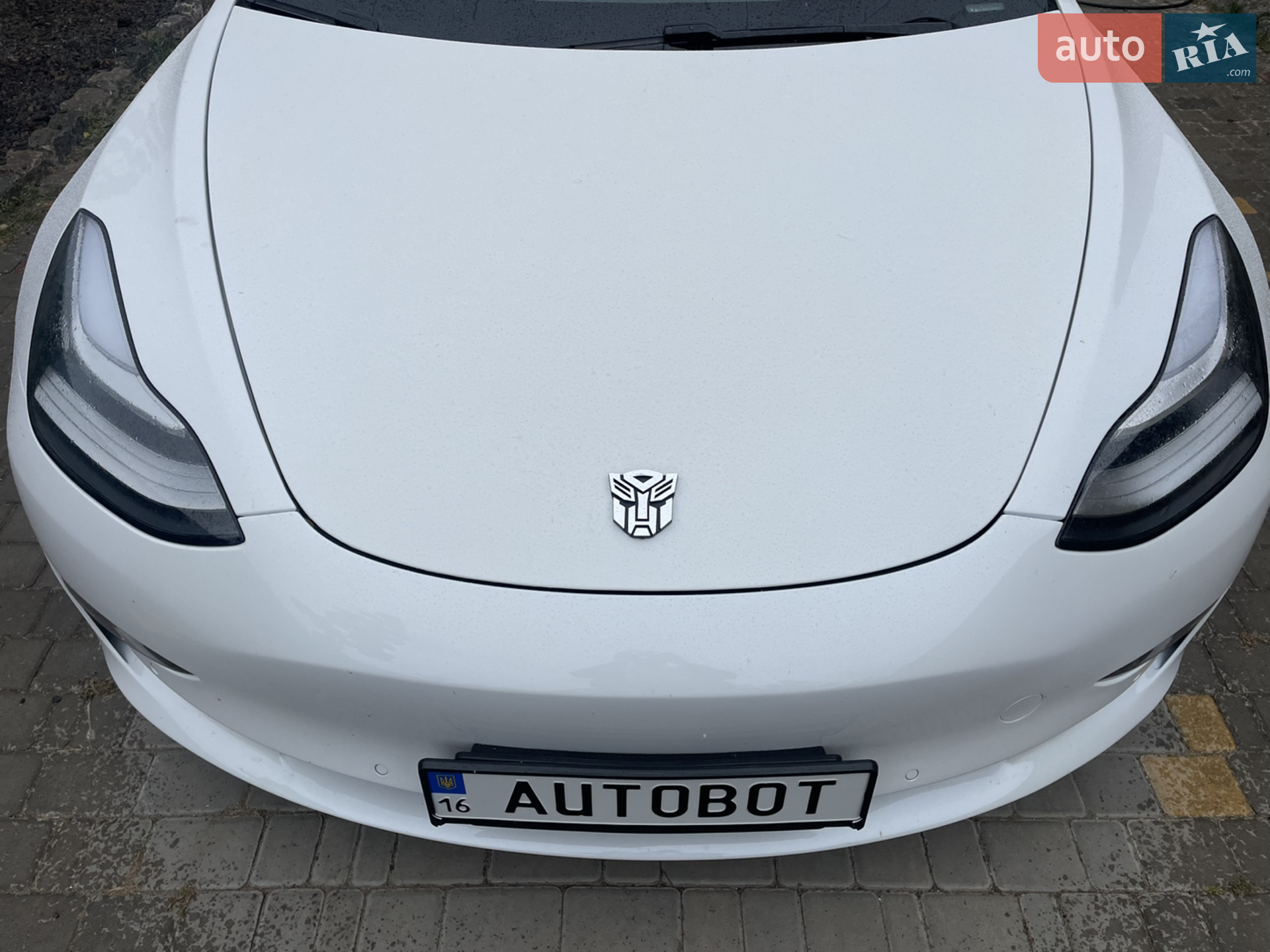 Tesla Model 3, 2019