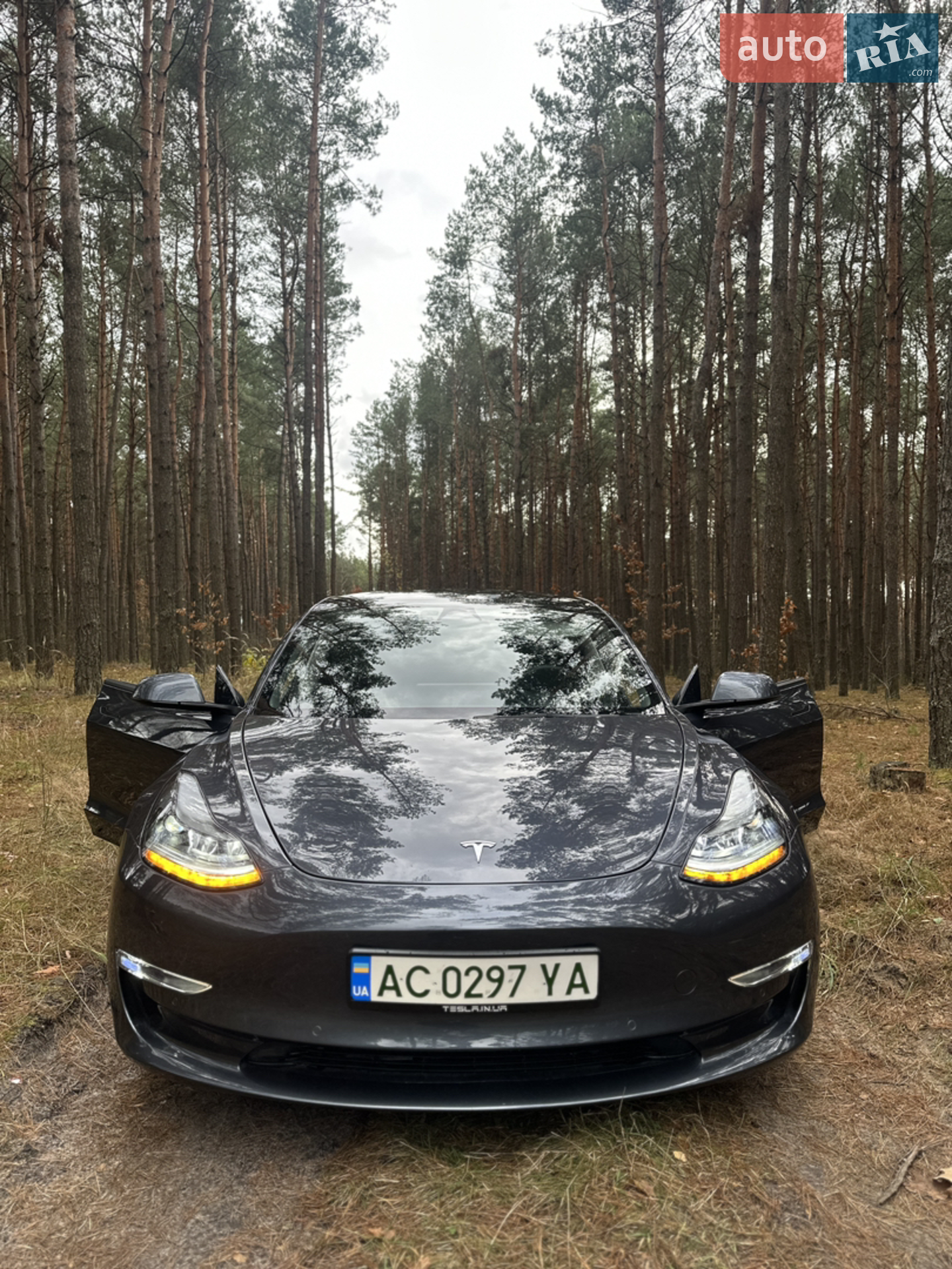 Tesla Model 3, 2022