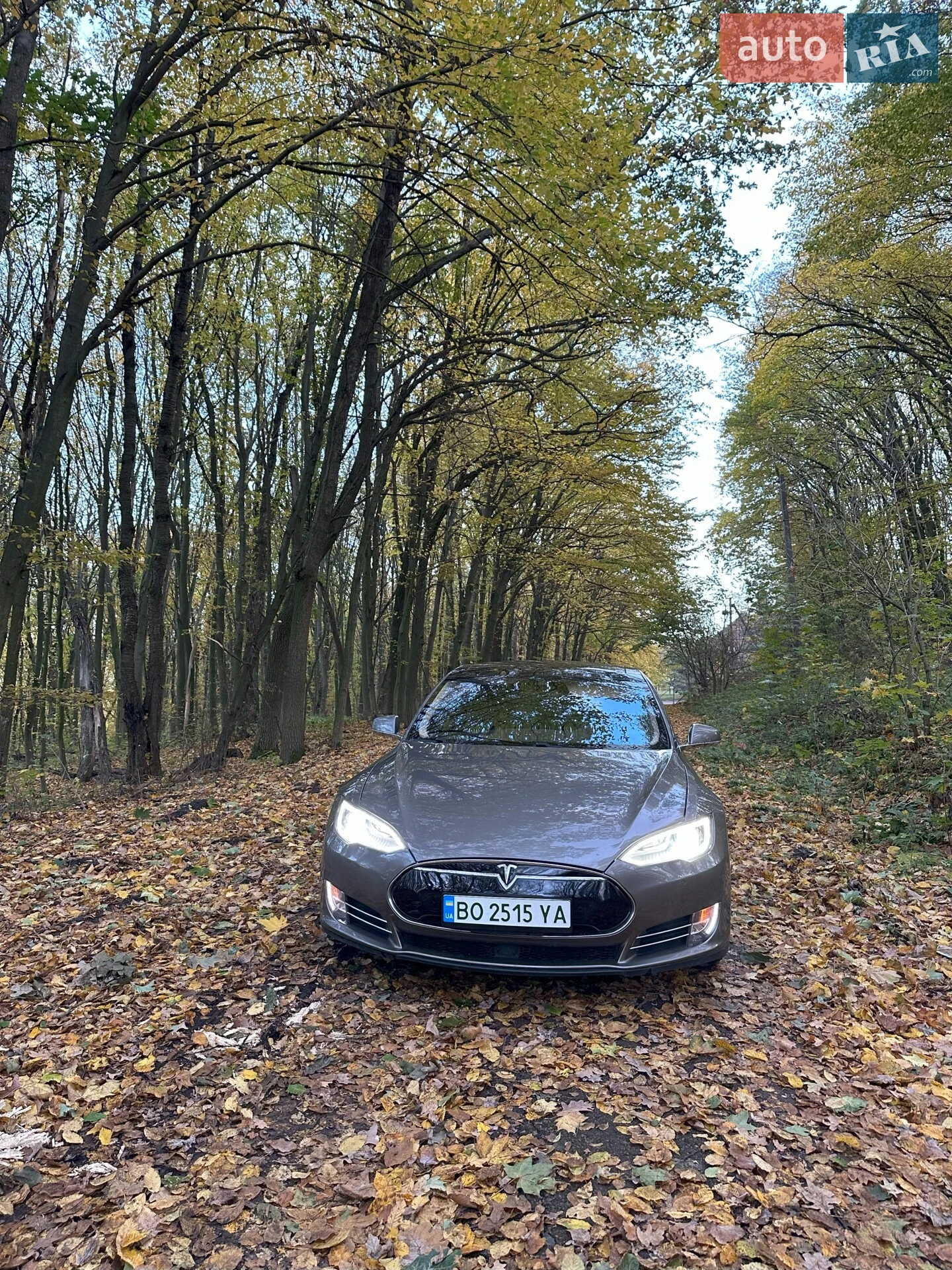 Tesla Model S, 2015