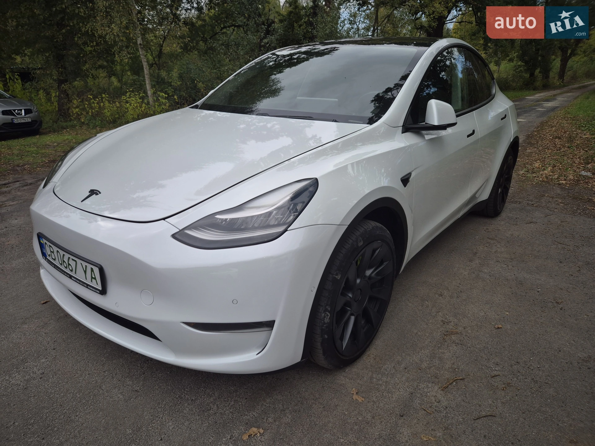 Tesla Model Y, 2020