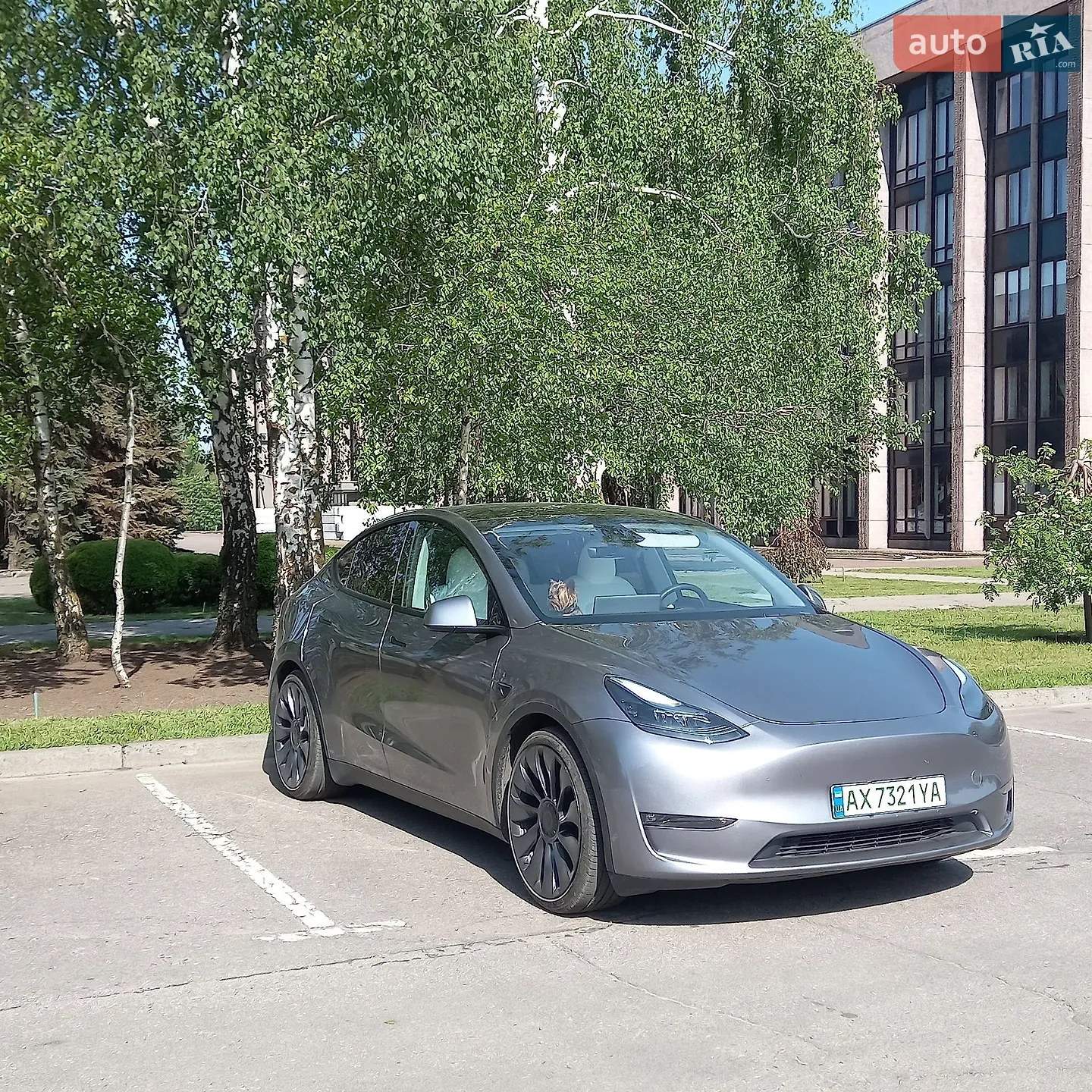 Tesla Model Y, 2024