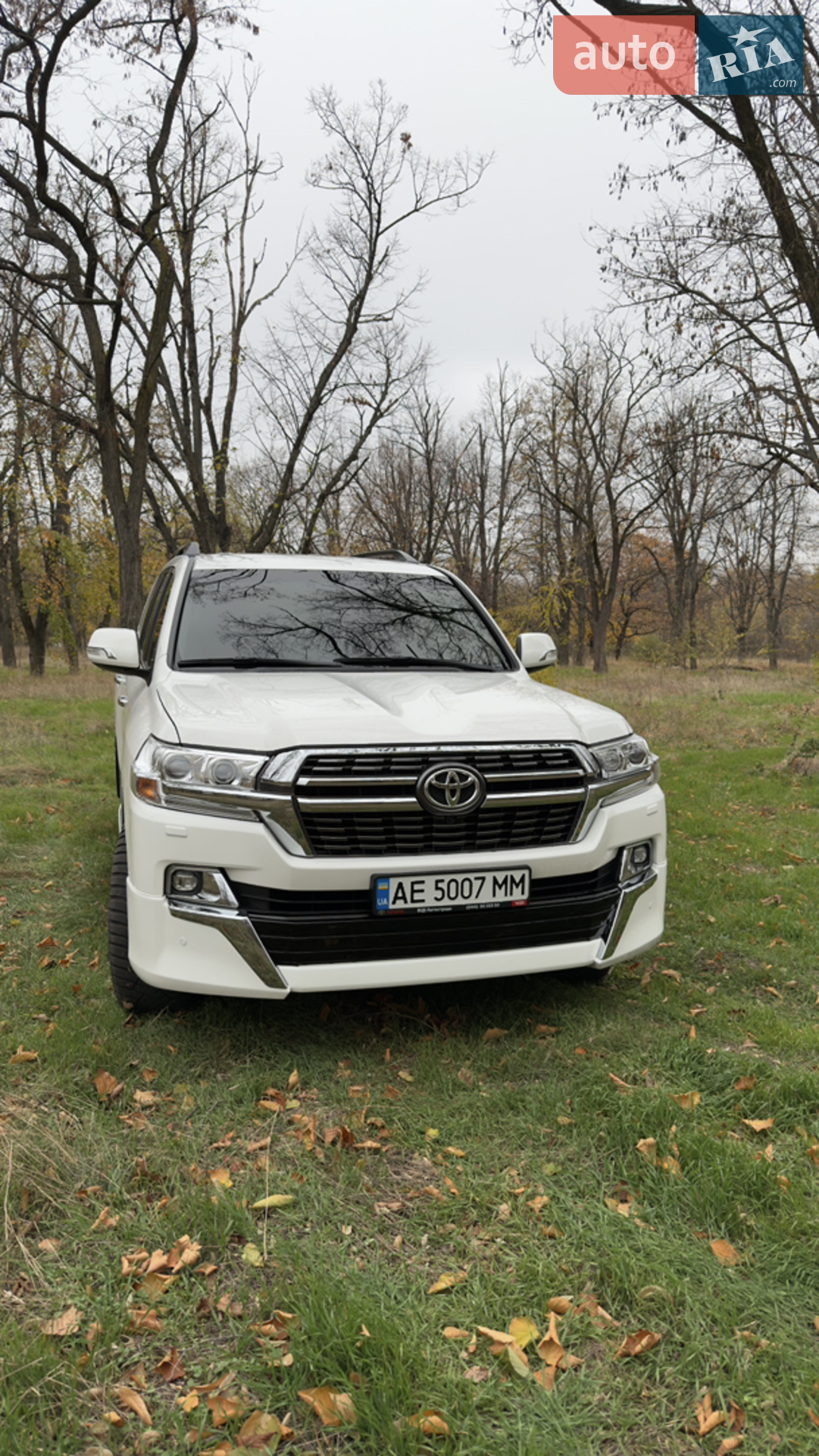 Toyota Land Cruiser, 2019