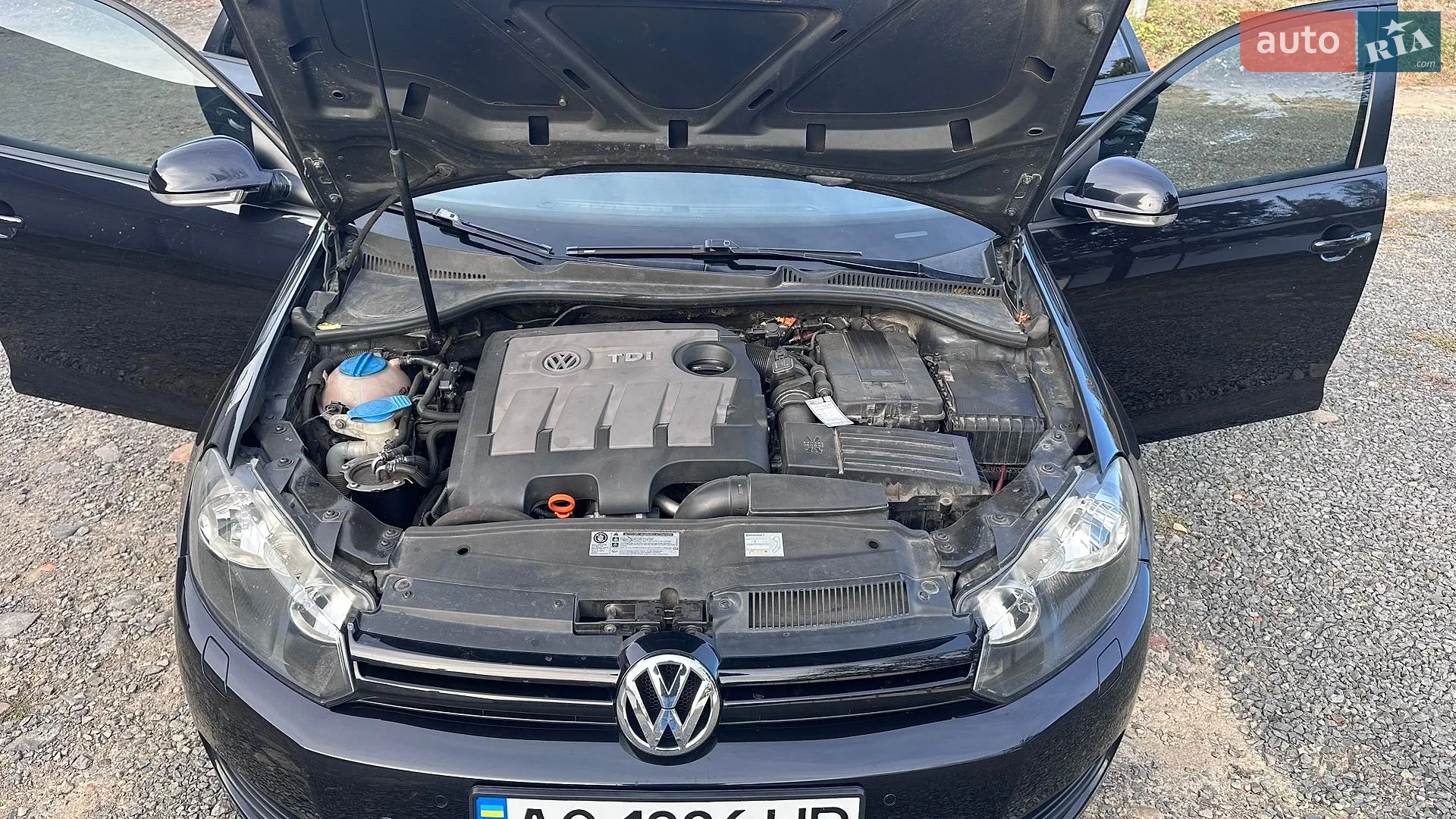 Volkswagen Golf, 2010
