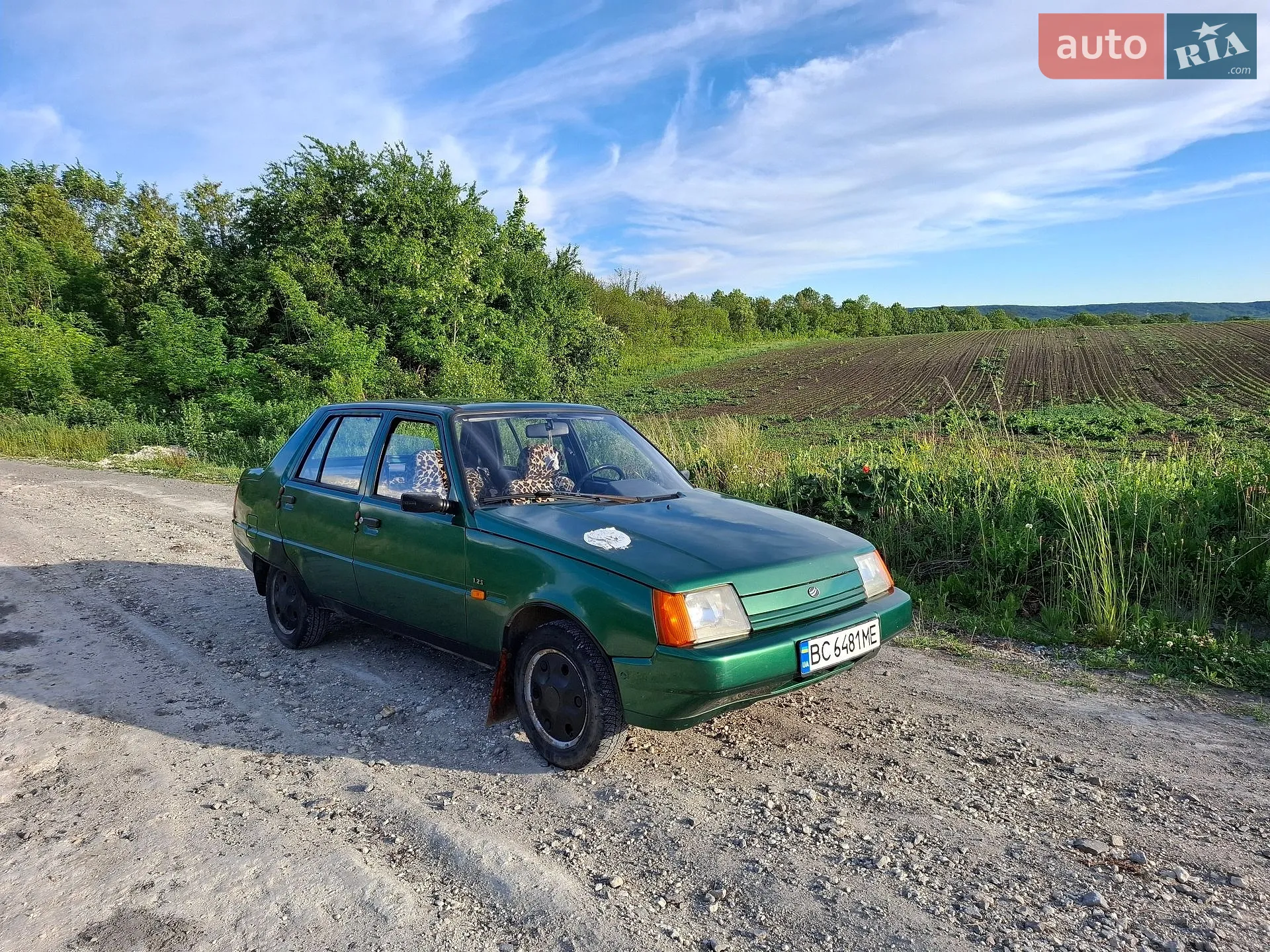 ЗАЗ 1103 Славута, 2003