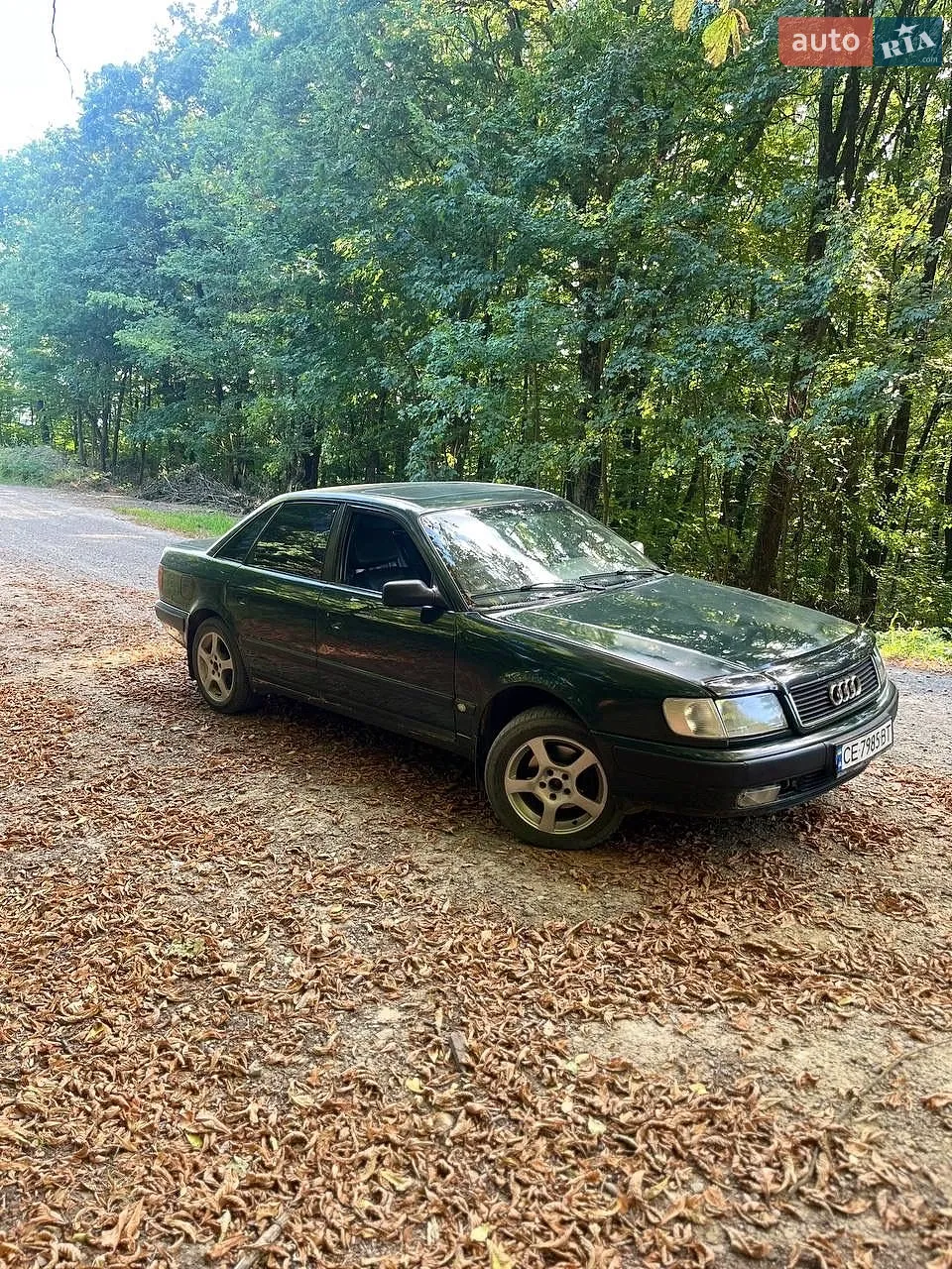 Audi 100, 1991