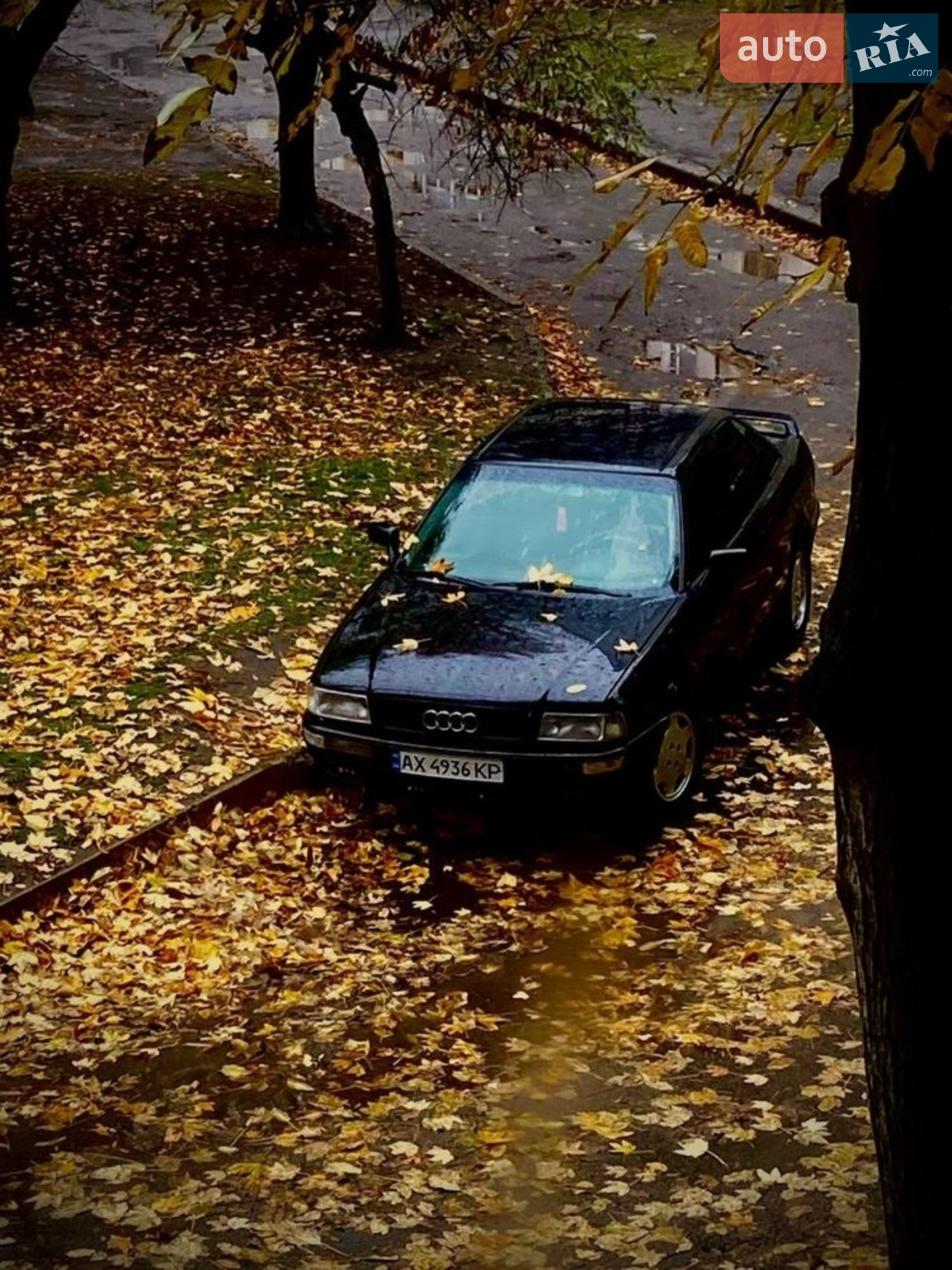 Audi 80, 1993