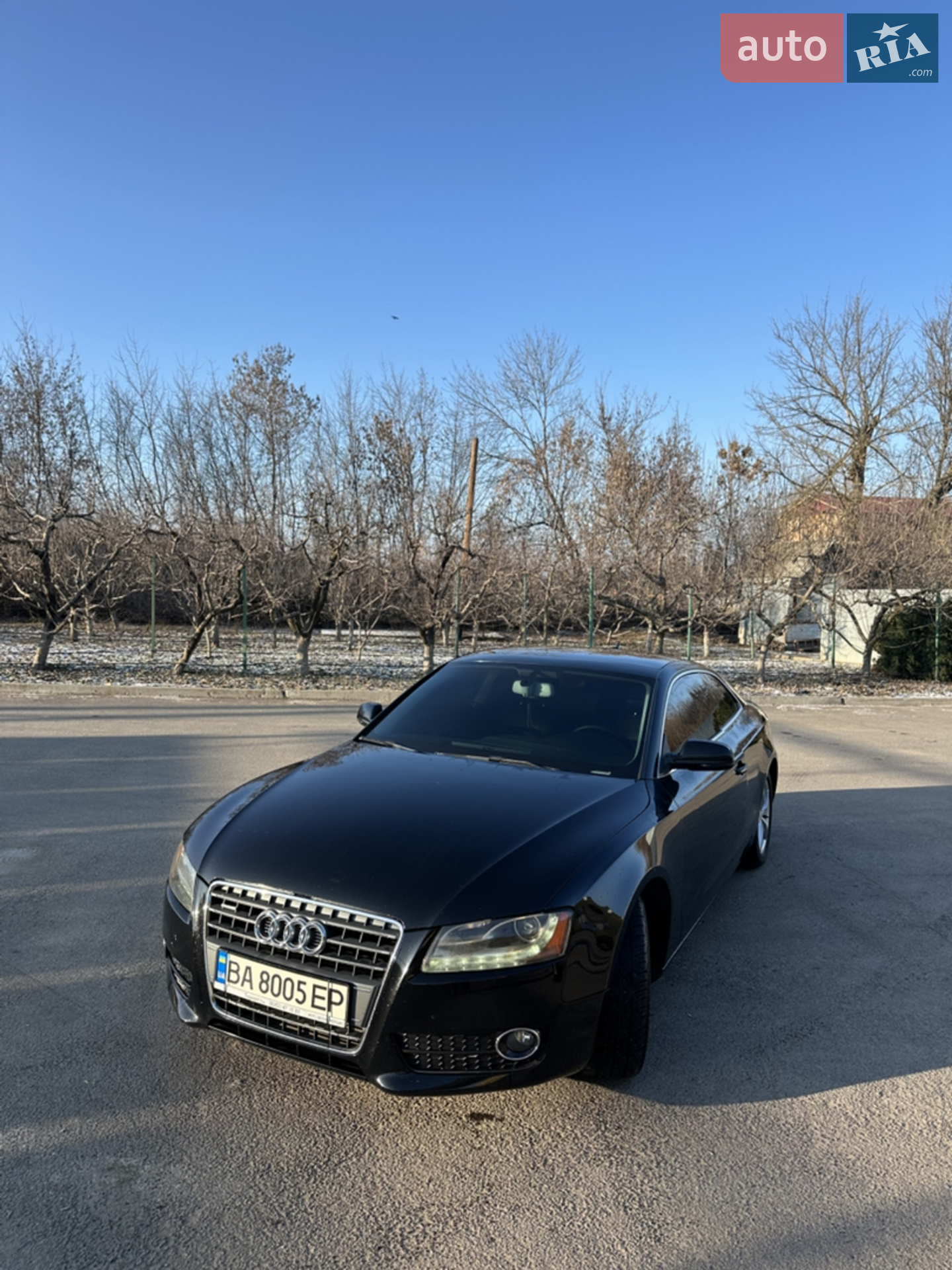 Audi A5, 2010
