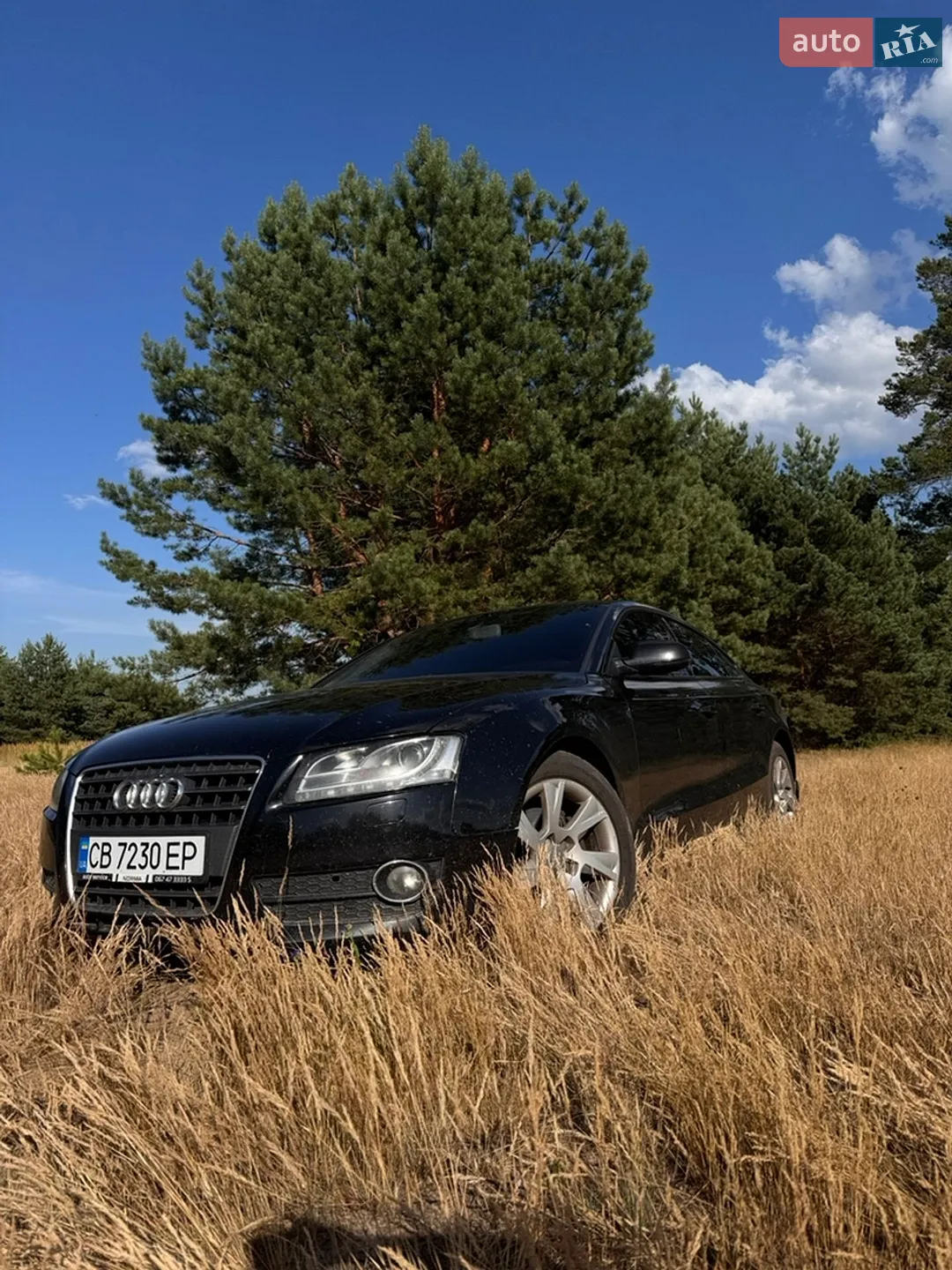 Audi A5, 2011