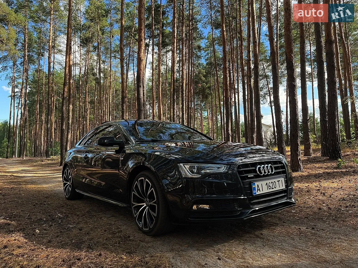 Audi A5, 2013