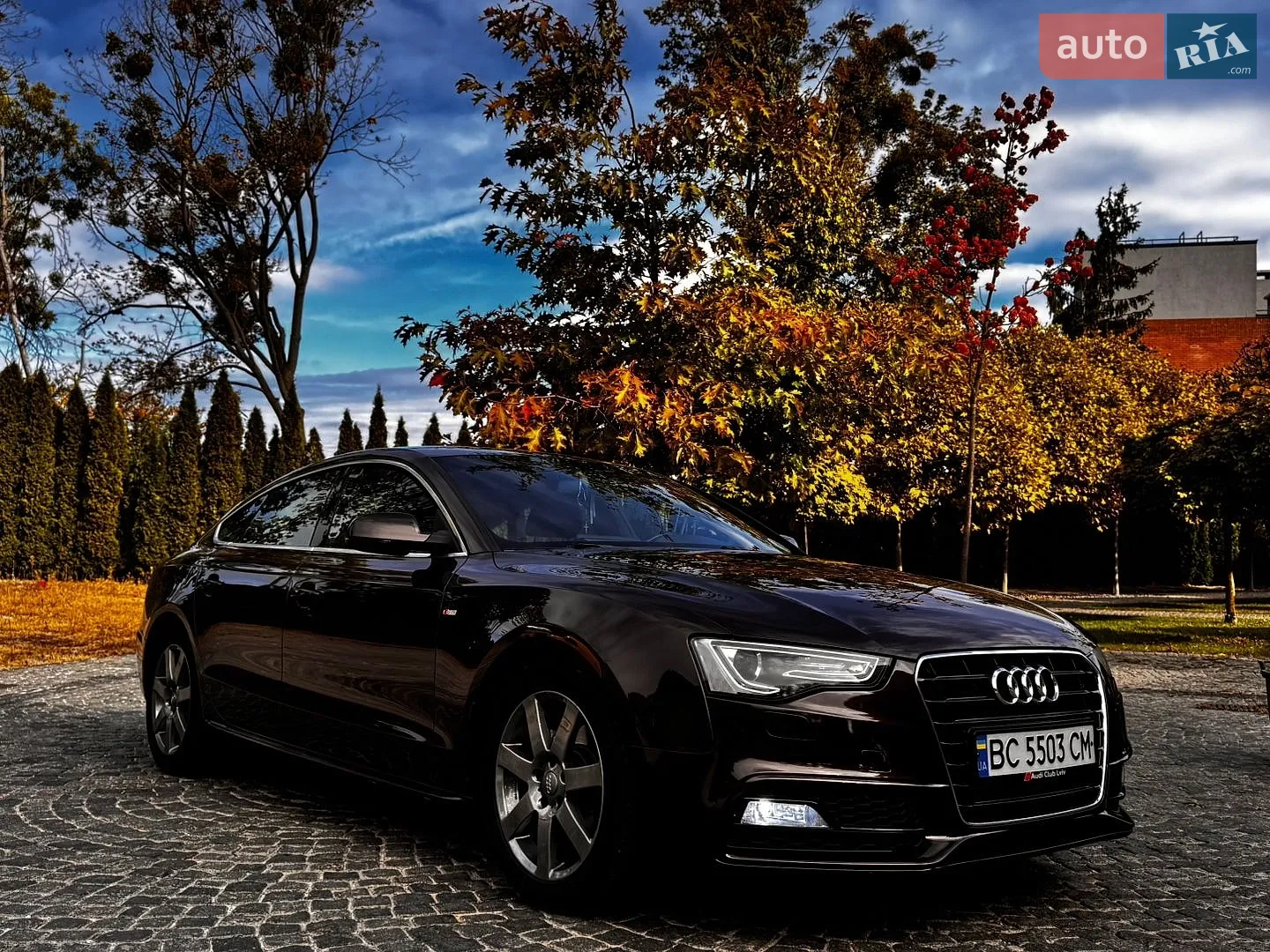 Audi A5, 2012