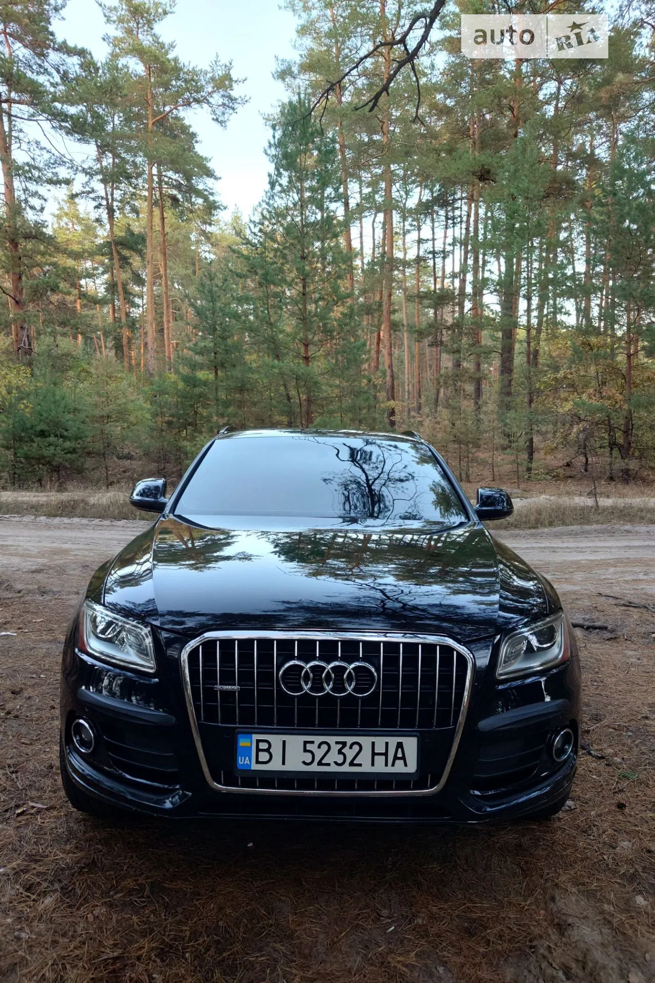Audi Q5, 2013