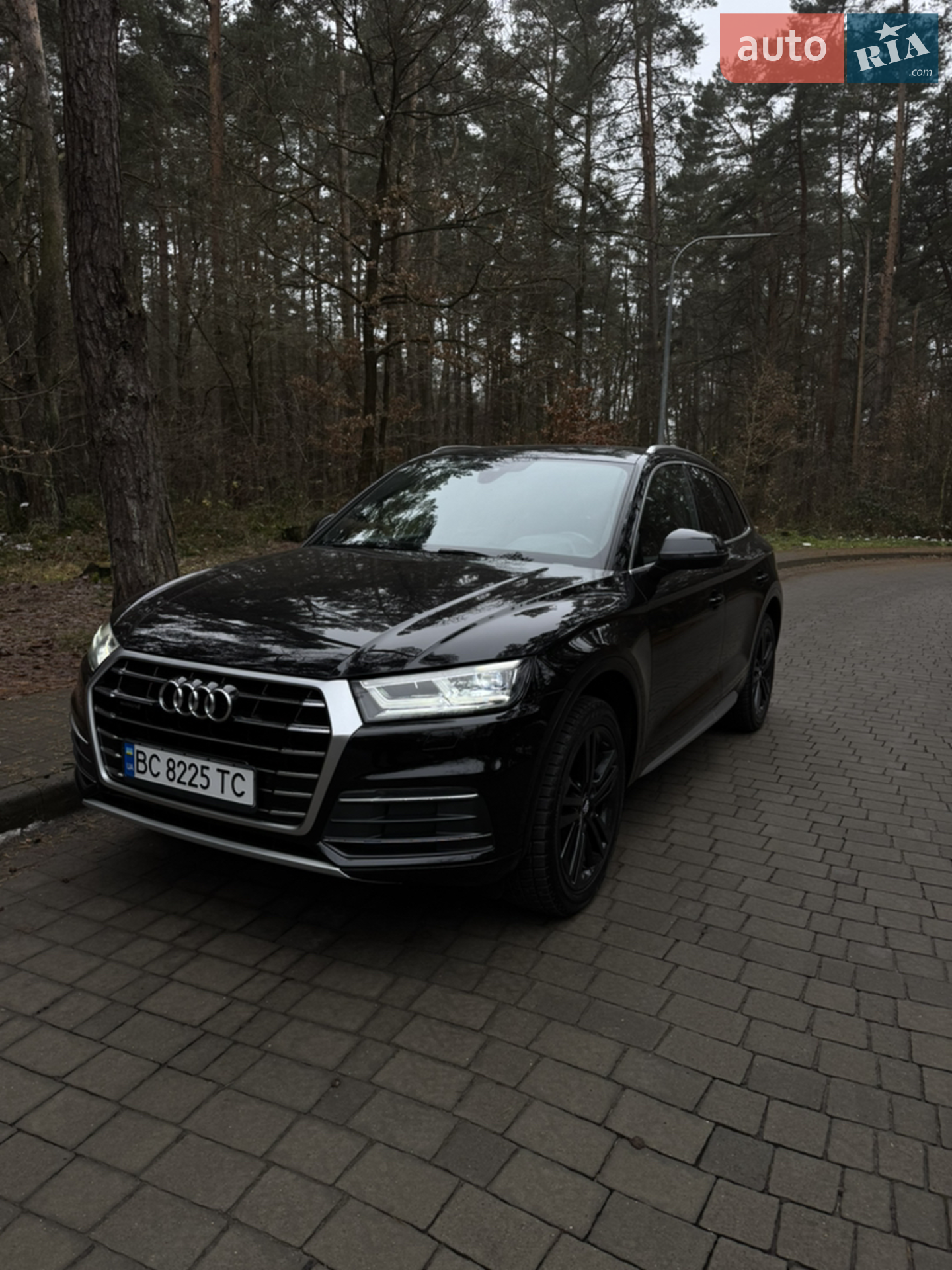 Audi Q5, 2019