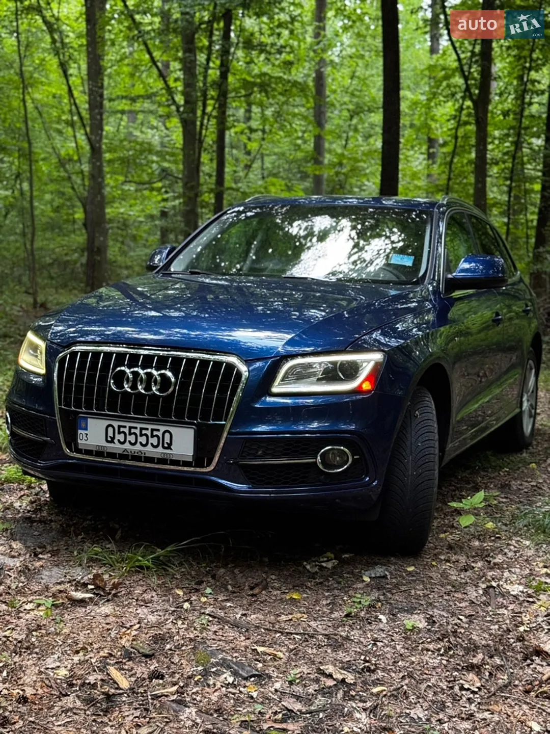 Audi Q5, 2013