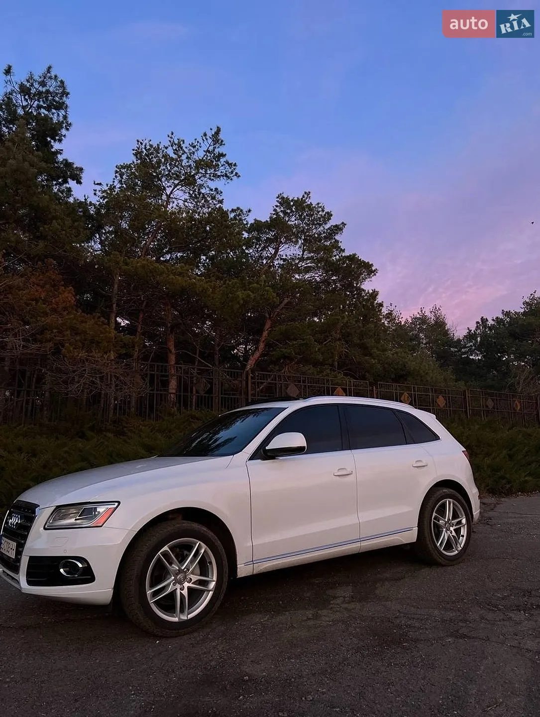 Audi Q5, 2013