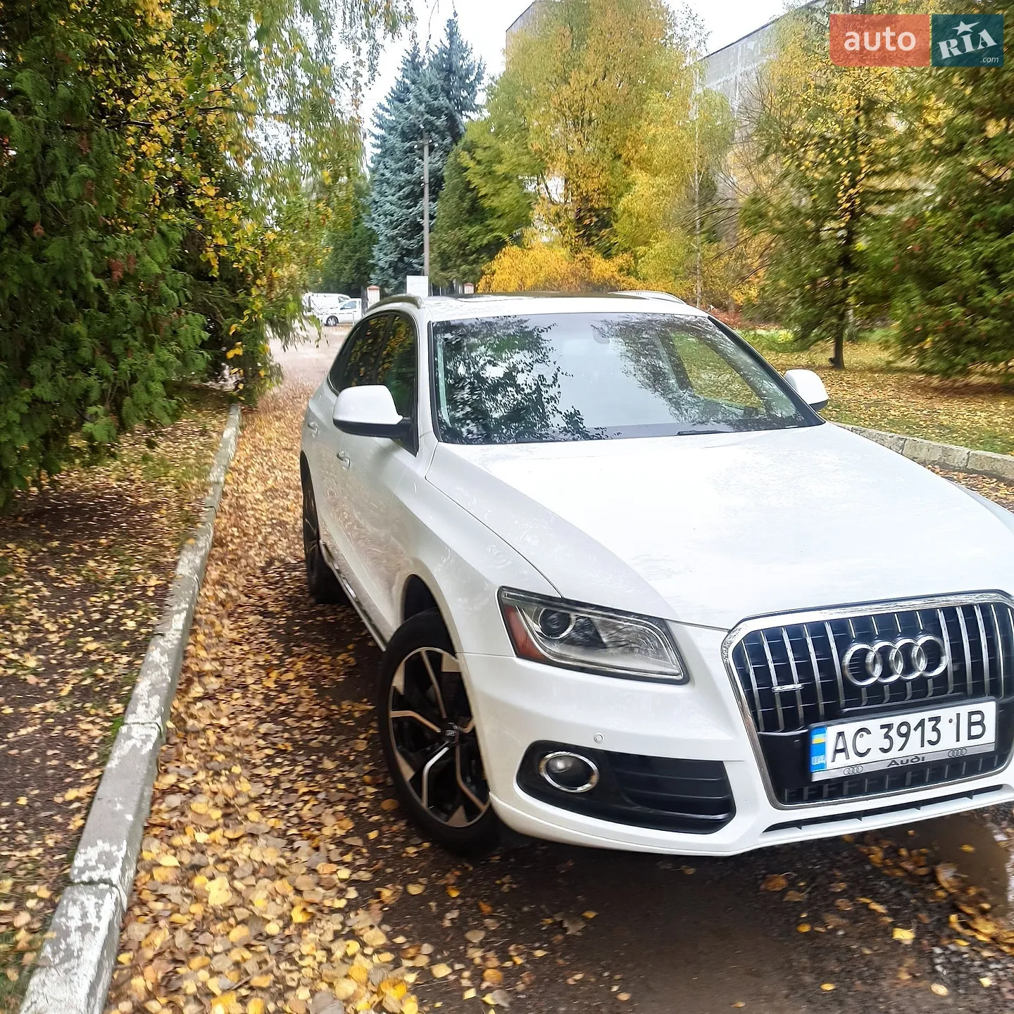 Audi Q5, 2016