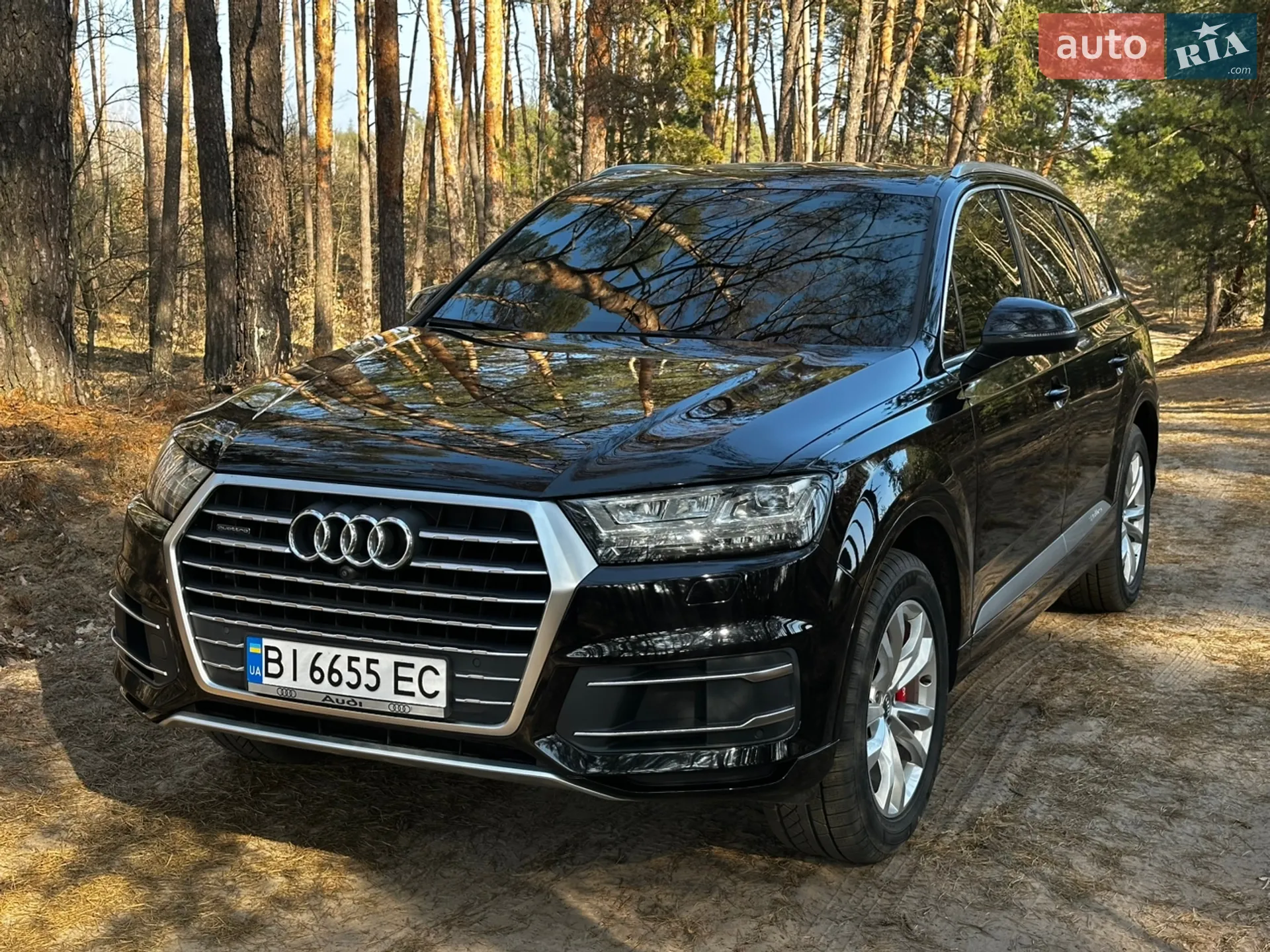 Audi Q7, 2019