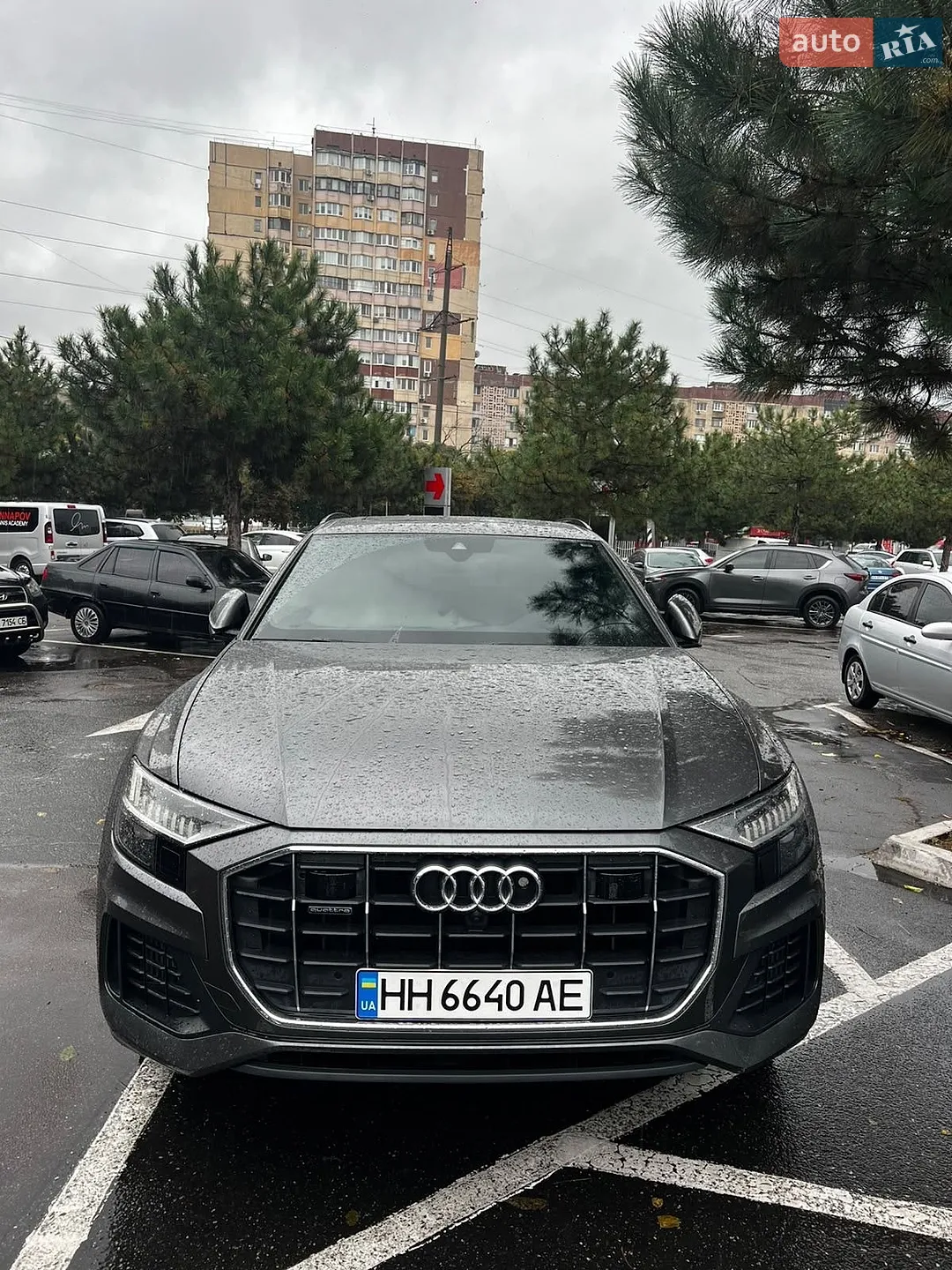 Audi Q8, 2021
