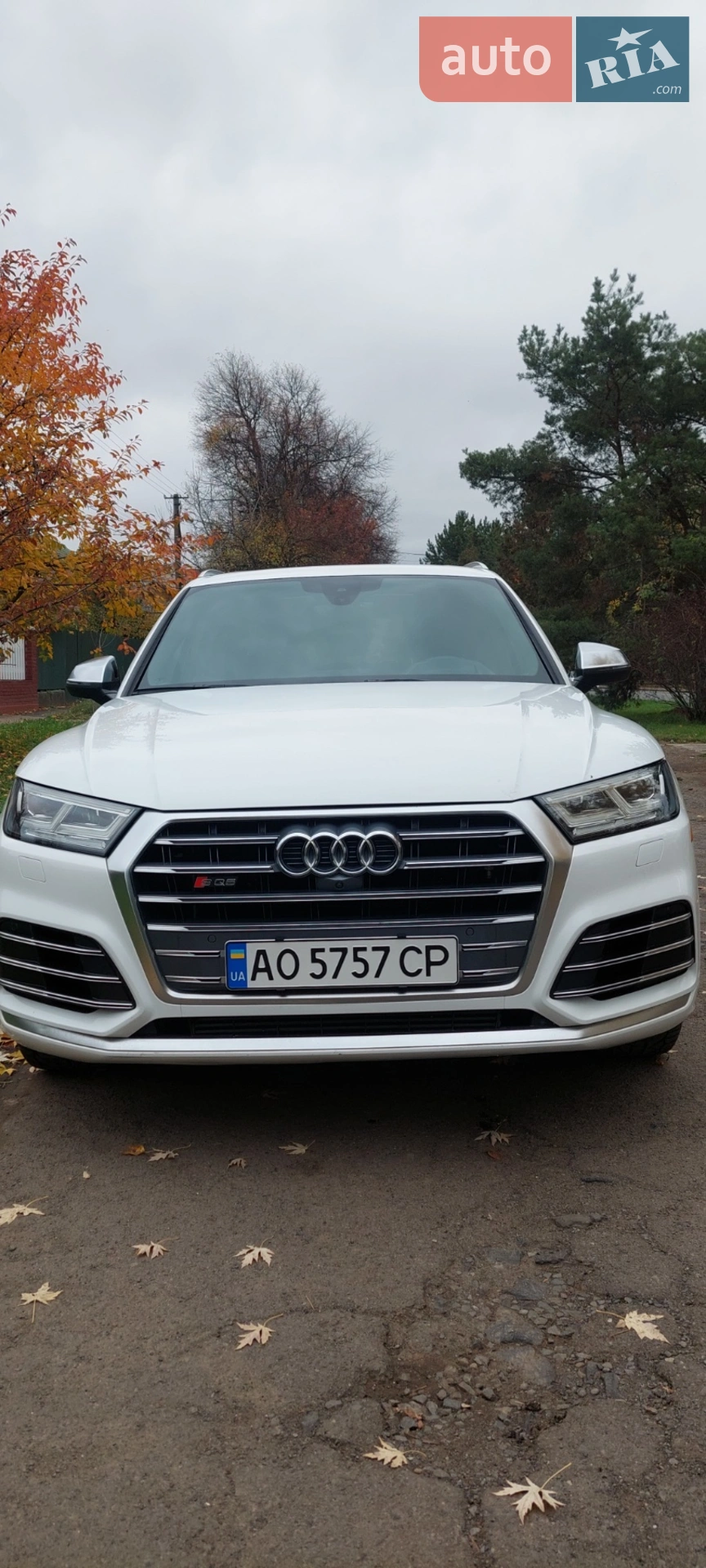 Audi SQ5, 2017