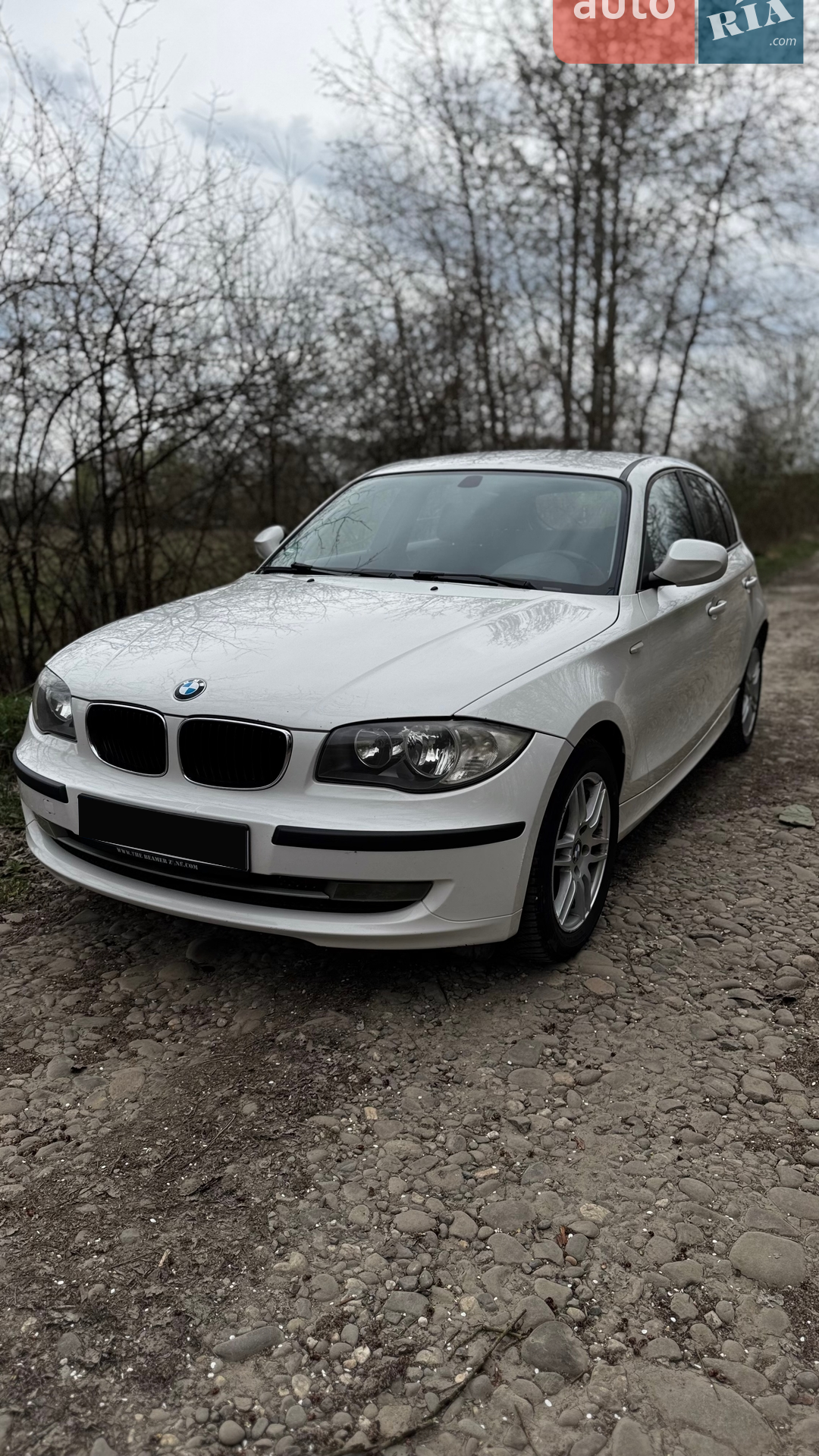 BMW 1 Series, 2010