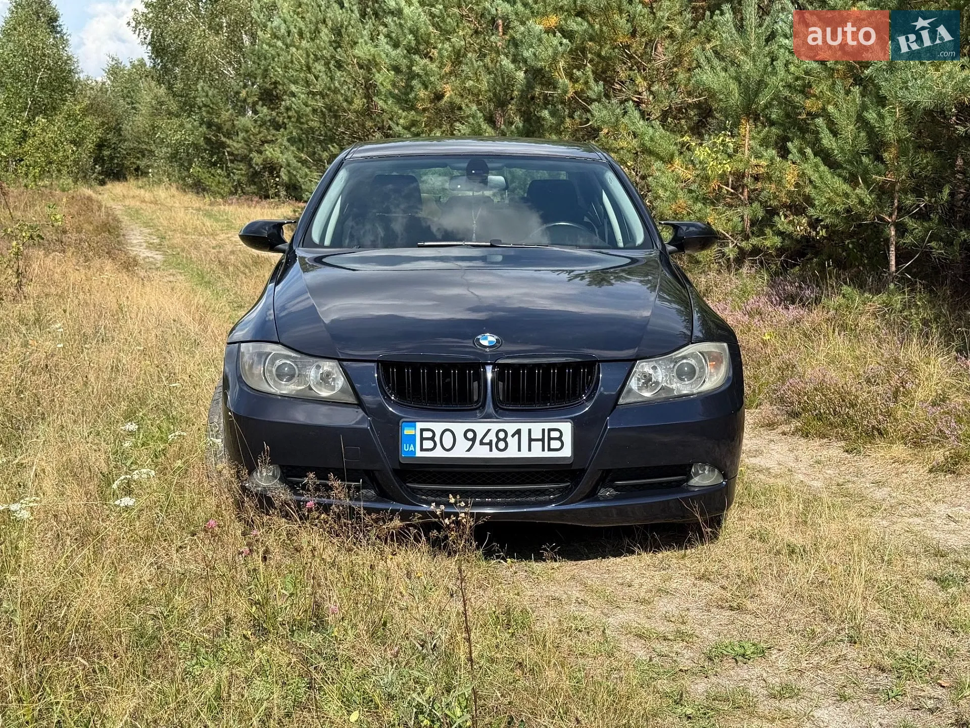 BMW 3 Series, 2006