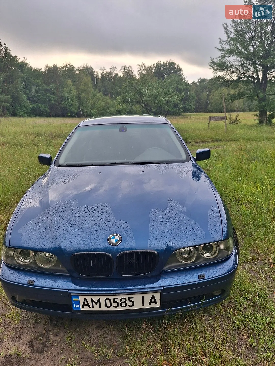 BMW 5 Series, 2001
