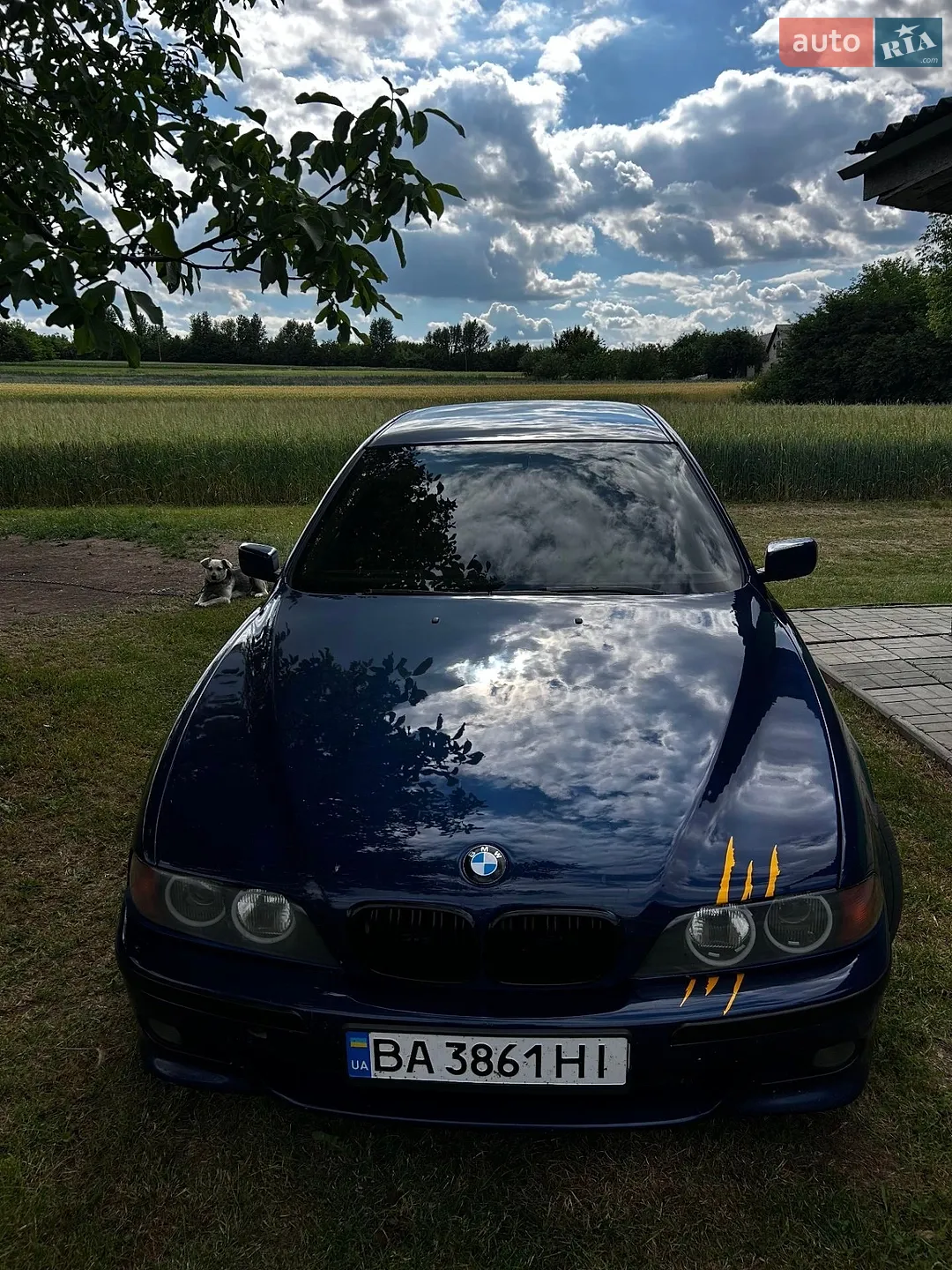 BMW 5 Series, 2000