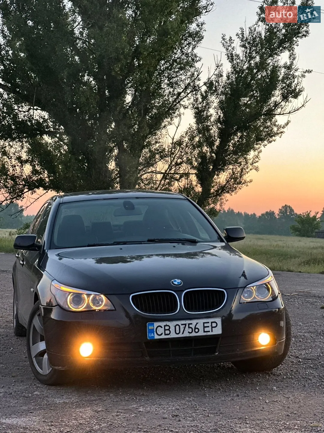 BMW 5 Series, 2006