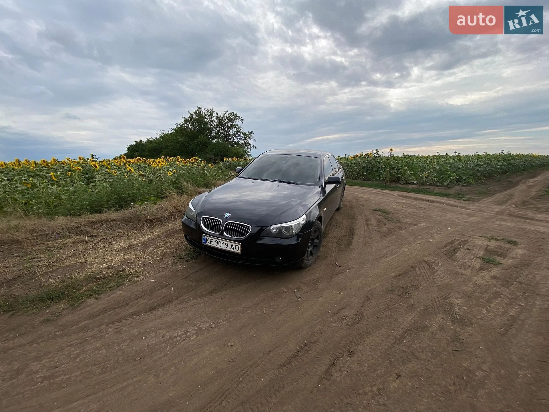 BMW 5 Series 2006 — 1