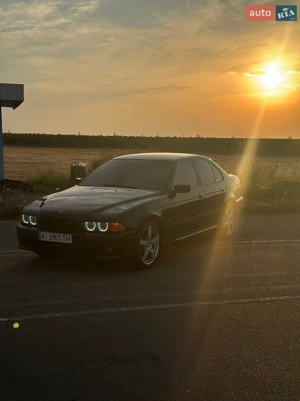 BMW 5 Series, 1998