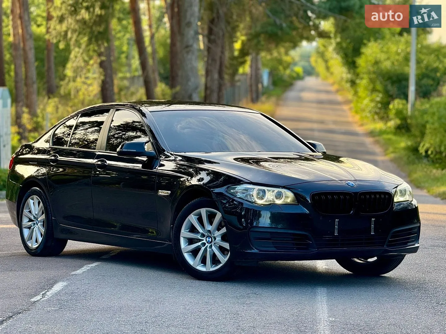 BMW 5 Series, 2015