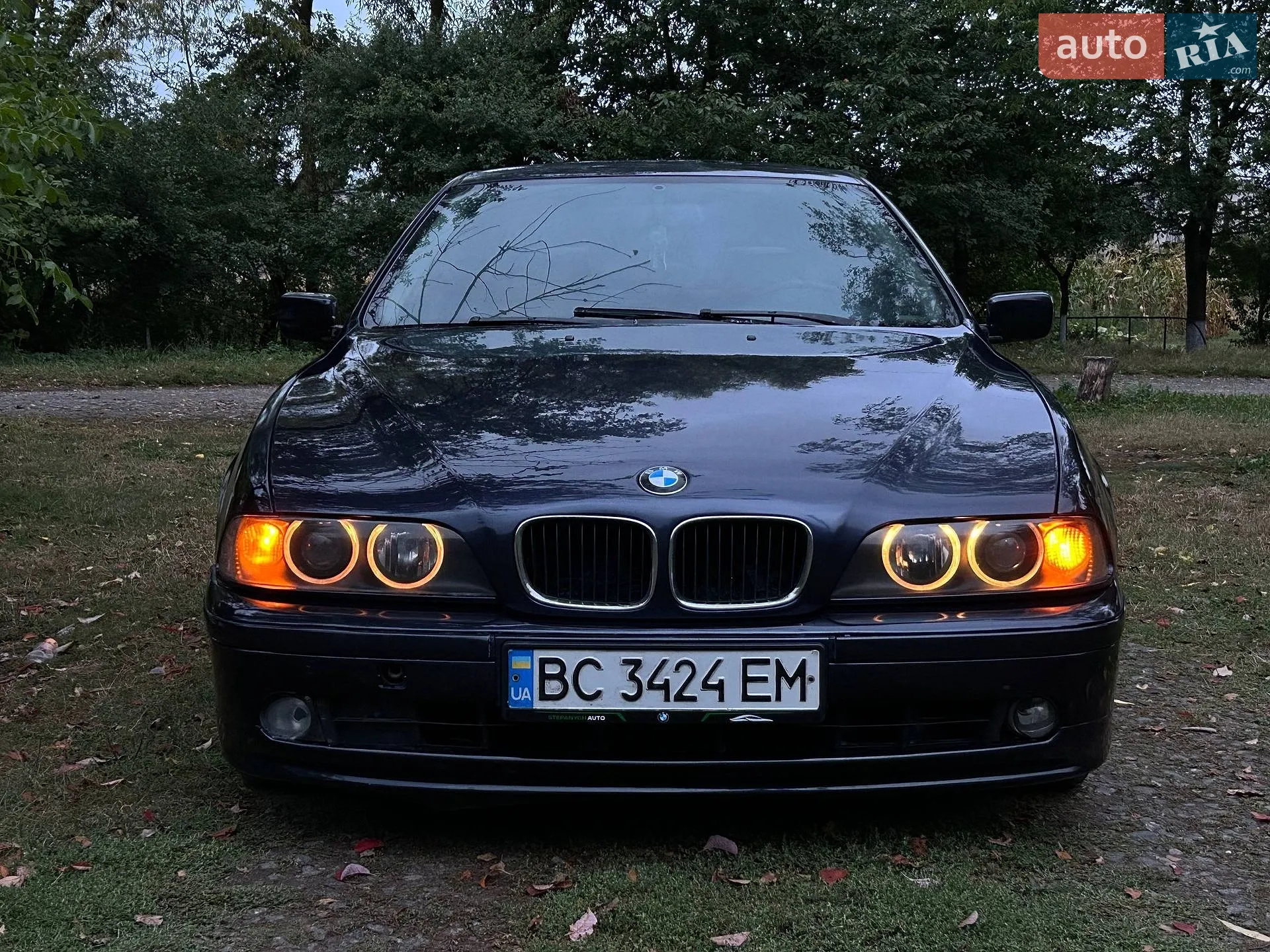 BMW 5 Series, 2002