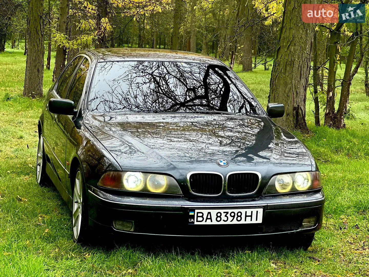 BMW 5 Series, 1999