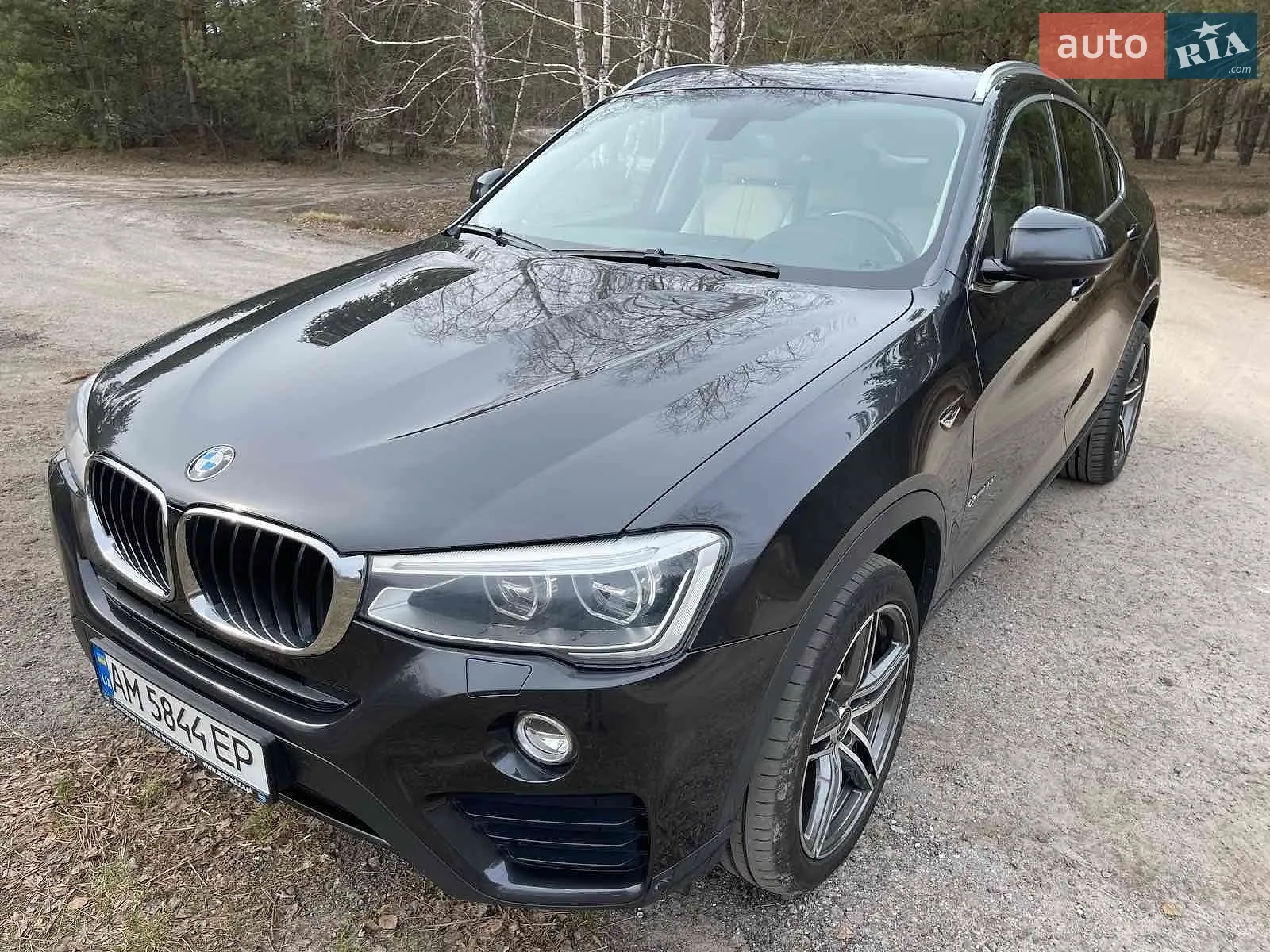 BMW X4, 2014
