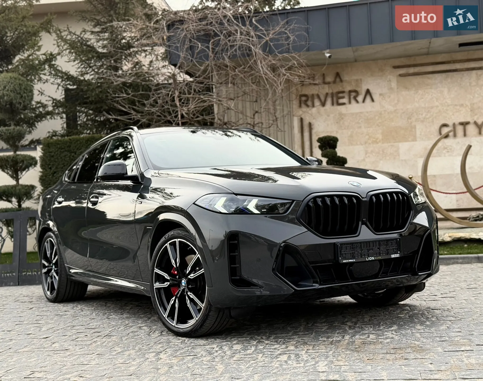 BMW X6, 2023